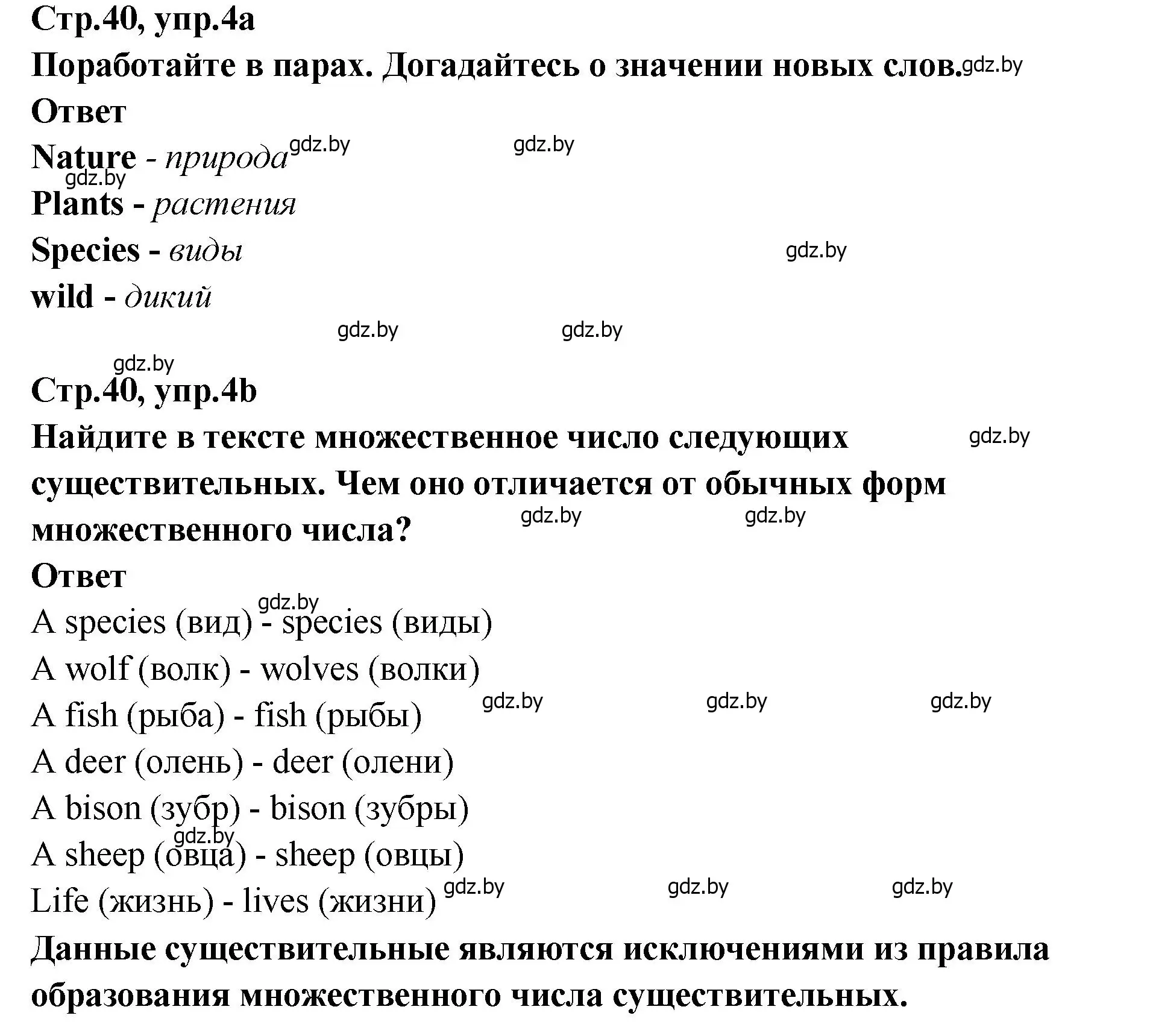 Решение номер 4 (страница 40) гдз по английскому языку 6 класс Юхнель, Наумова, учебник