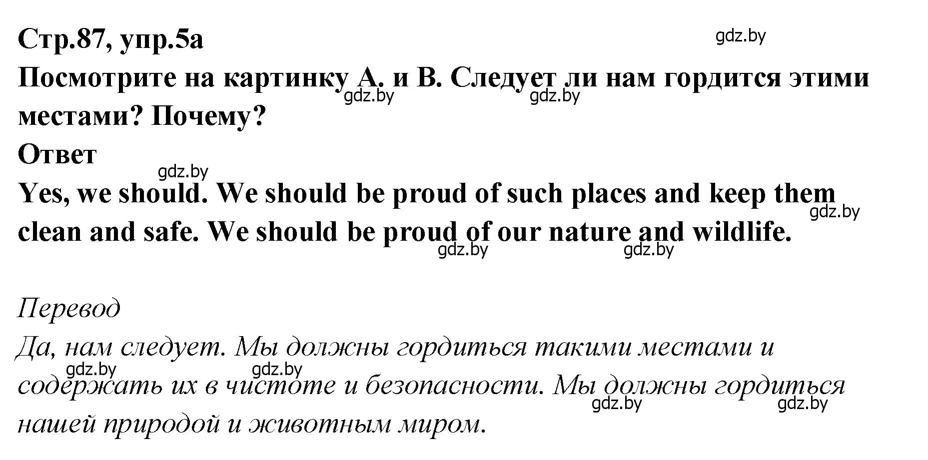 Решение номер 5 (страница 87) гдз по английскому языку 6 класс Юхнель, Наумова, учебник