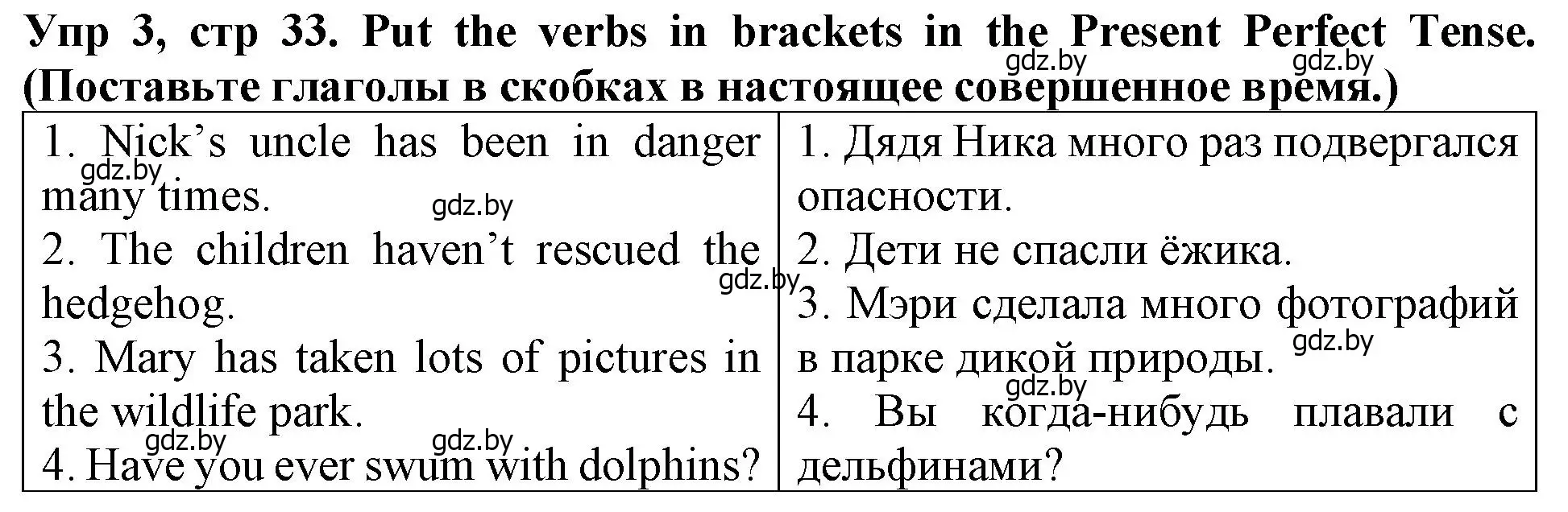 Решение номер 3 (страница 33) гдз по английскому языку 6 класс Севрюкова, Юхнель, тетрадь по грамматике