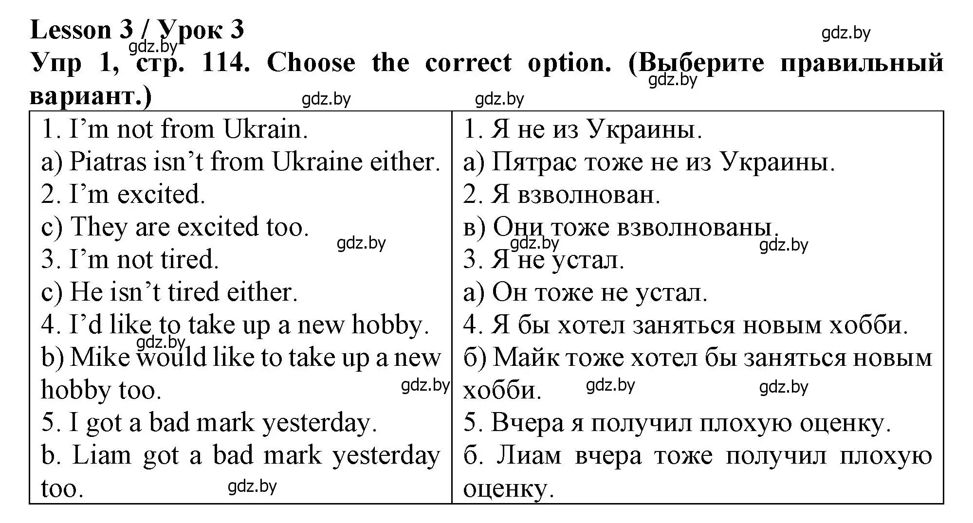 Решение номер 1 (страница 114) гдз по английскому языку 6 класс Севрюкова, Юхнель, тетрадь по грамматике