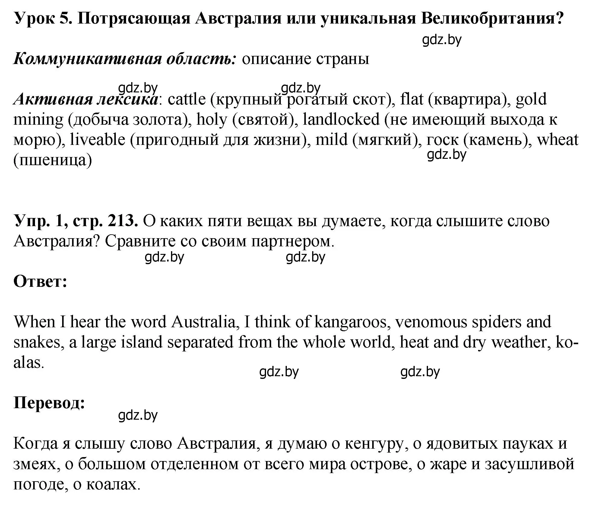 Решение номер 1 (страница 213) гдз по английскому языку 7 класс Юхнель, Демченко, учебное пособие