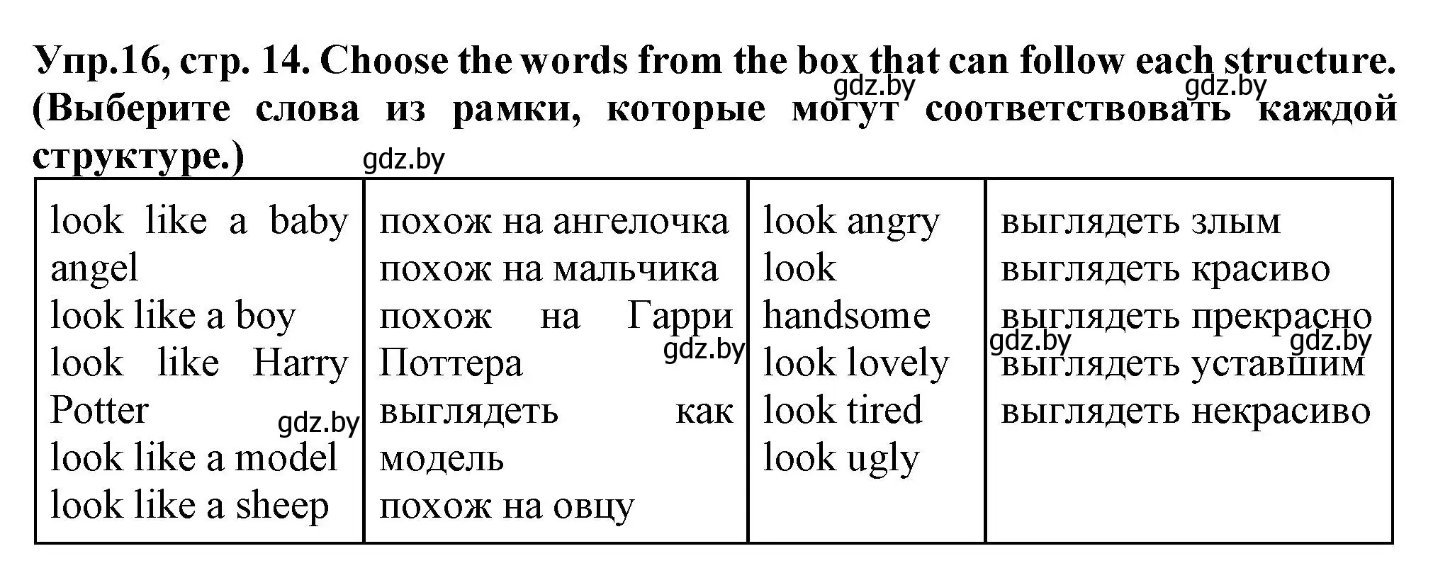 Решение номер 16 (страница 14) гдз по английскому языку 7 класс Севрюкова, Бушуева, практикум по грамматике