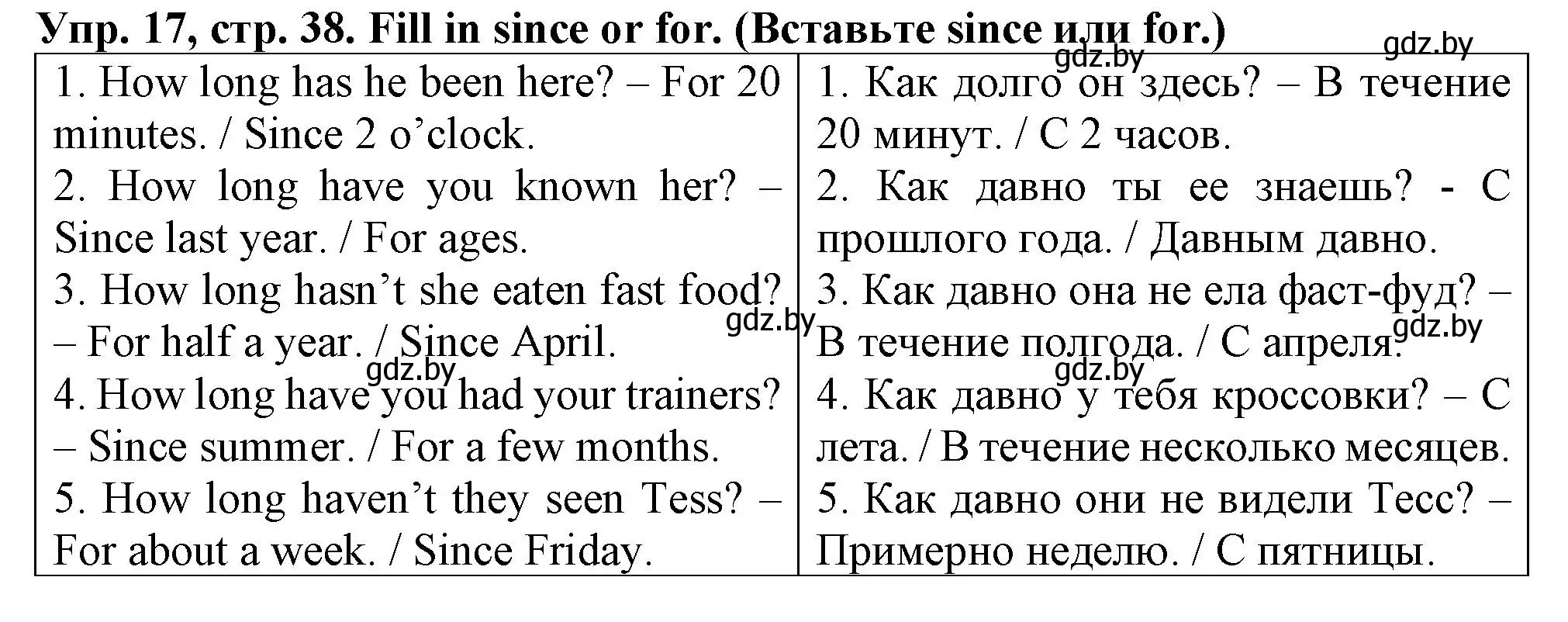 Решение номер 17 (страница 38) гдз по английскому языку 7 класс Севрюкова, Бушуева, практикум по грамматике