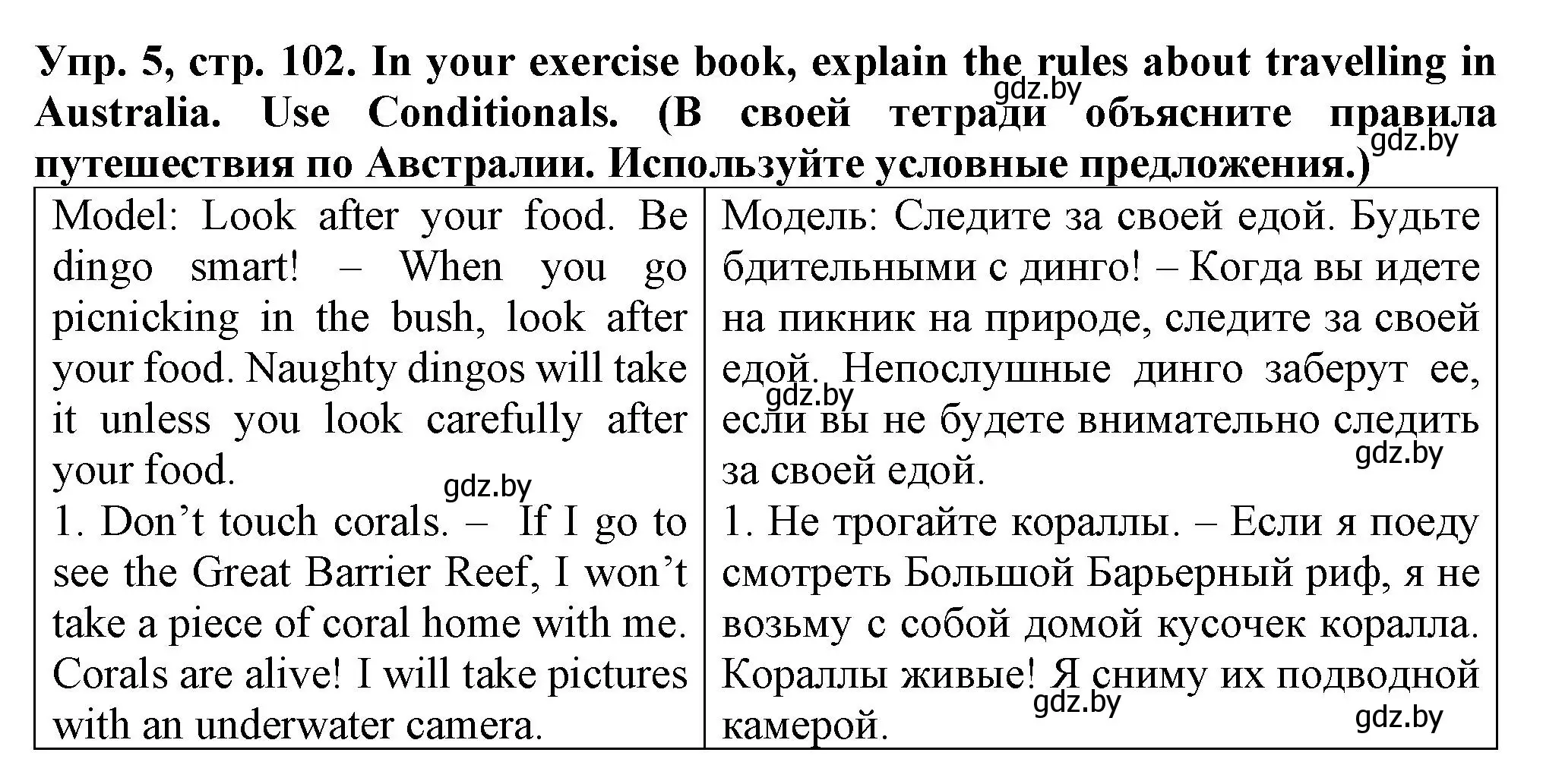 Решение номер 5 (страница 102) гдз по английскому языку 7 класс Севрюкова, Бушуева, практикум по грамматике