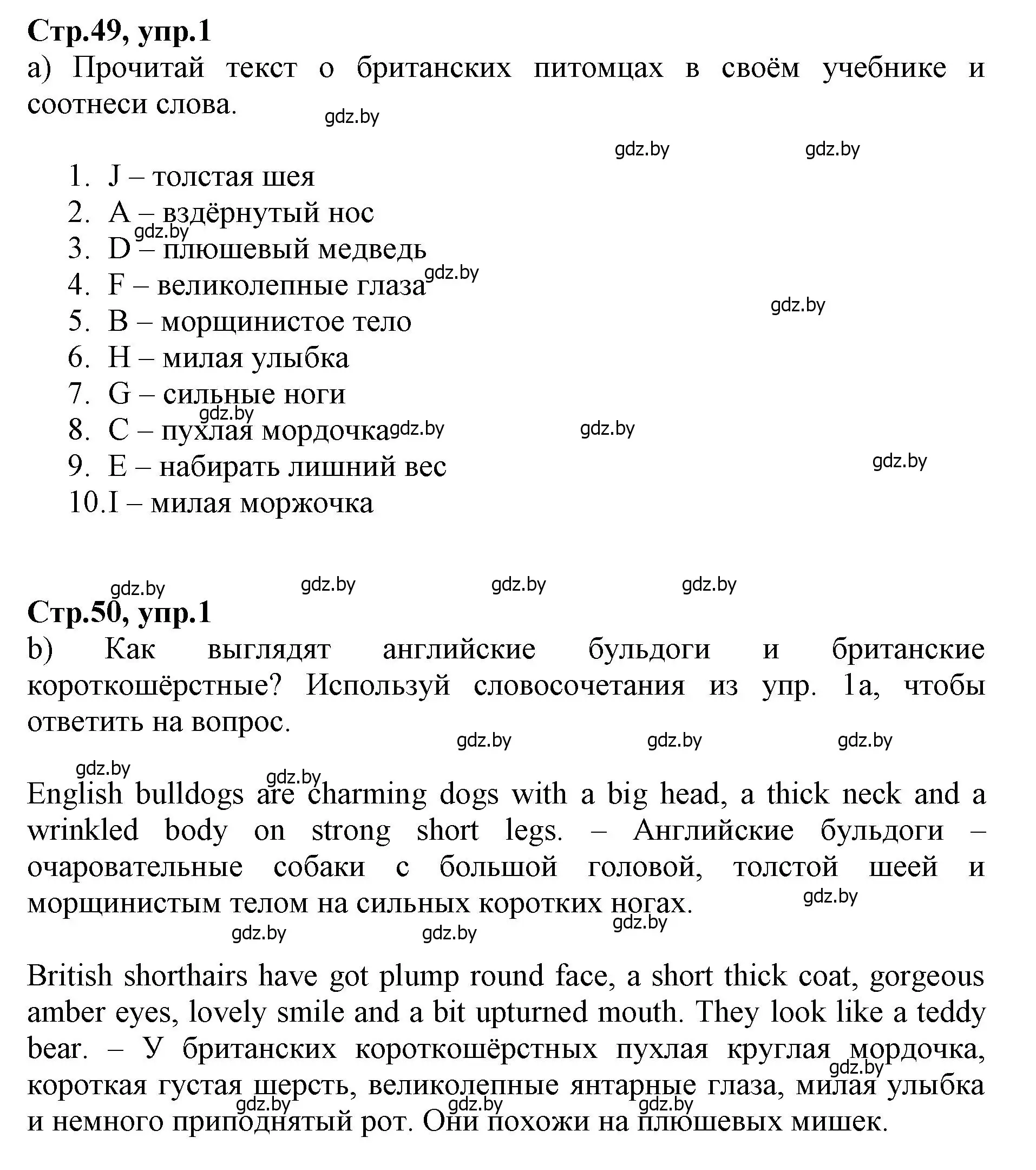 Решение номер 1 (страница 49) гдз по английскому языку 7 класс Демченко, Севрюкова, рабочая тетрадь 1 часть