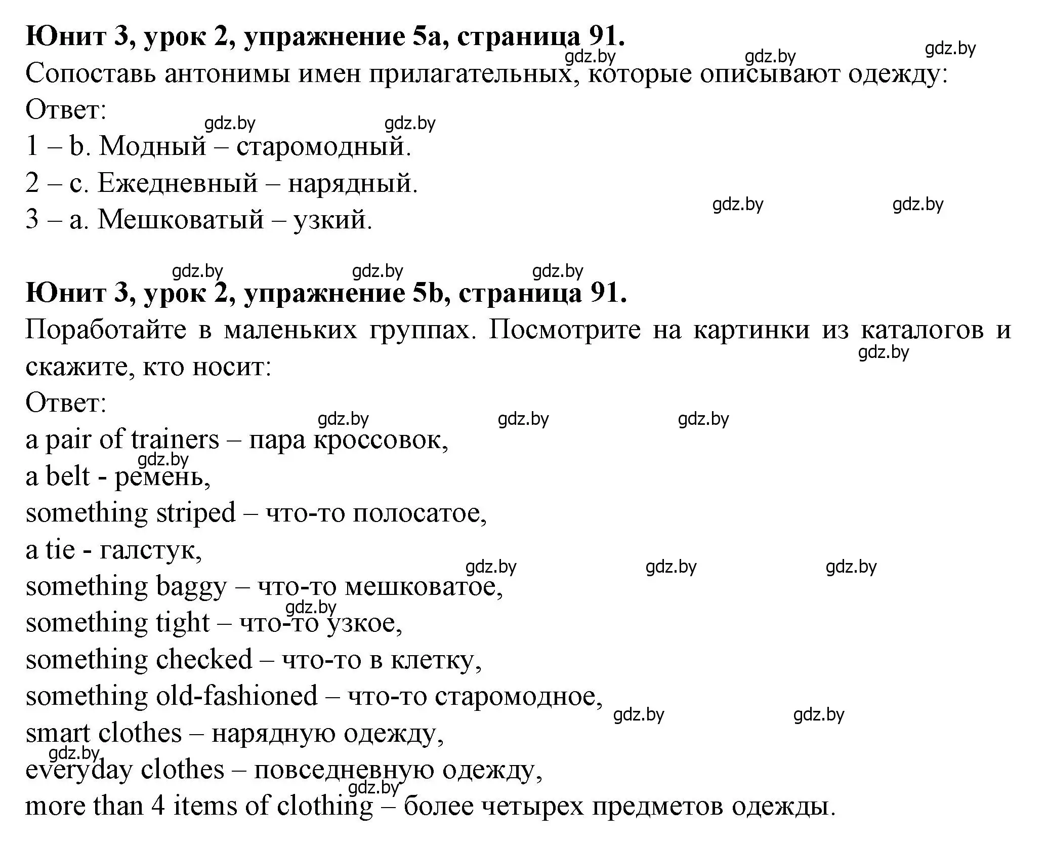 Решение номер 5 (страница 91) гдз по английскому языку 7 класс Демченко, Севрюкова, учебник 1 часть