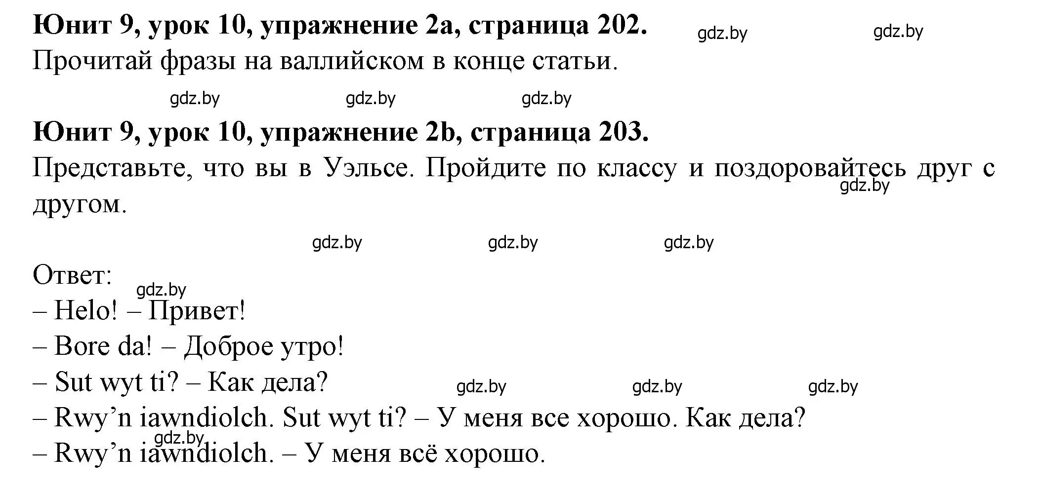 Решение номер 2 (страница 202) гдз по английскому языку 7 класс Демченко, Севрюкова, учебник 2 часть