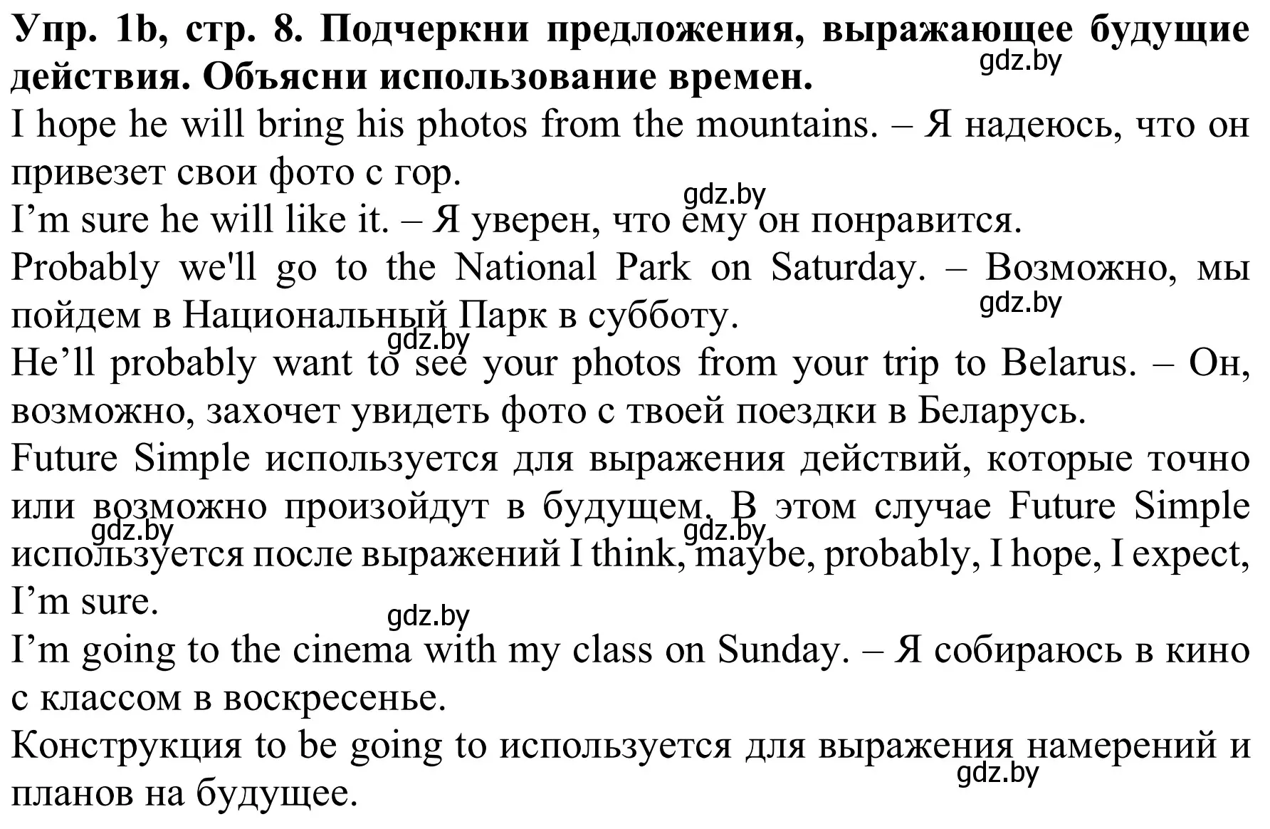 Решение номер 1b (страница 8) гдз по английскому языку 9 класс Лапицкая, Демченко, рабочая тетрадь 1 часть