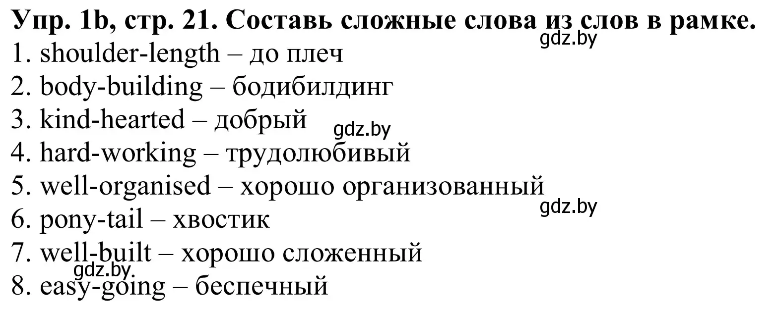 Решение номер 1b (страница 21) гдз по английскому языку 9 класс Лапицкая, Демченко, рабочая тетрадь 1 часть