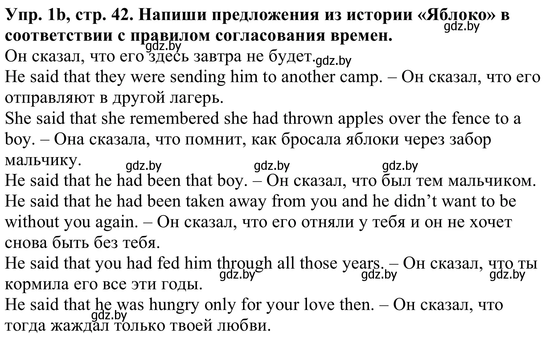 Решение номер 1b (страница 42) гдз по английскому языку 9 класс Лапицкая, Демченко, рабочая тетрадь 1 часть