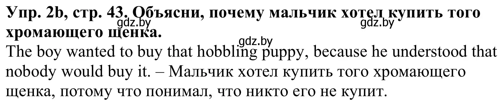 Решение номер 2b (страница 43) гдз по английскому языку 9 класс Лапицкая, Демченко, рабочая тетрадь 1 часть