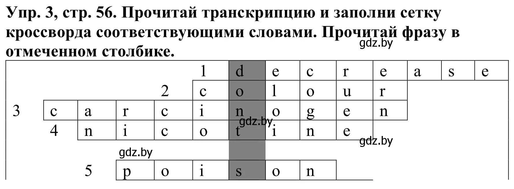 Решение номер 3 (страница 56) гдз по английскому языку 9 класс Лапицкая, Демченко, рабочая тетрадь 1 часть