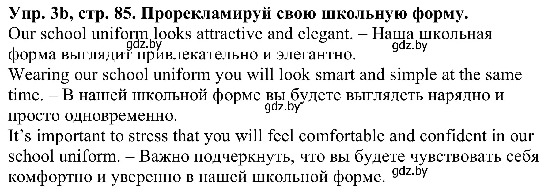 Решение номер 3b (страница 85) гдз по английскому языку 9 класс Лапицкая, Демченко, рабочая тетрадь 1 часть