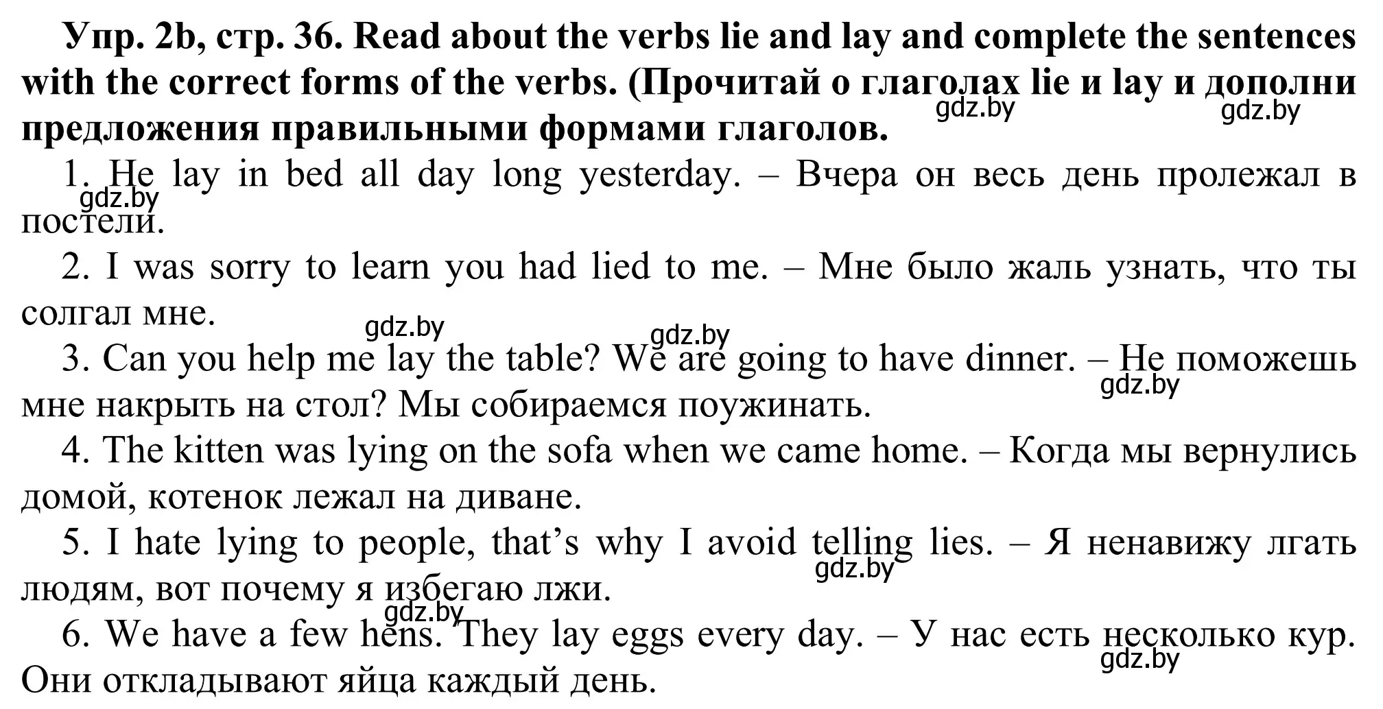 Решение номер 2b (страница 36) гдз по английскому языку 9 класс Лапицкая, Демченко, рабочая тетрадь 2 часть