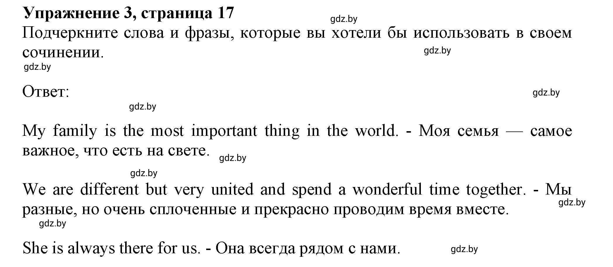 Решение 2. номер 3 (страница 17) гдз по английскому языку 9 класс Лапицкая, Демченко, рабочая тетрадь 1 часть