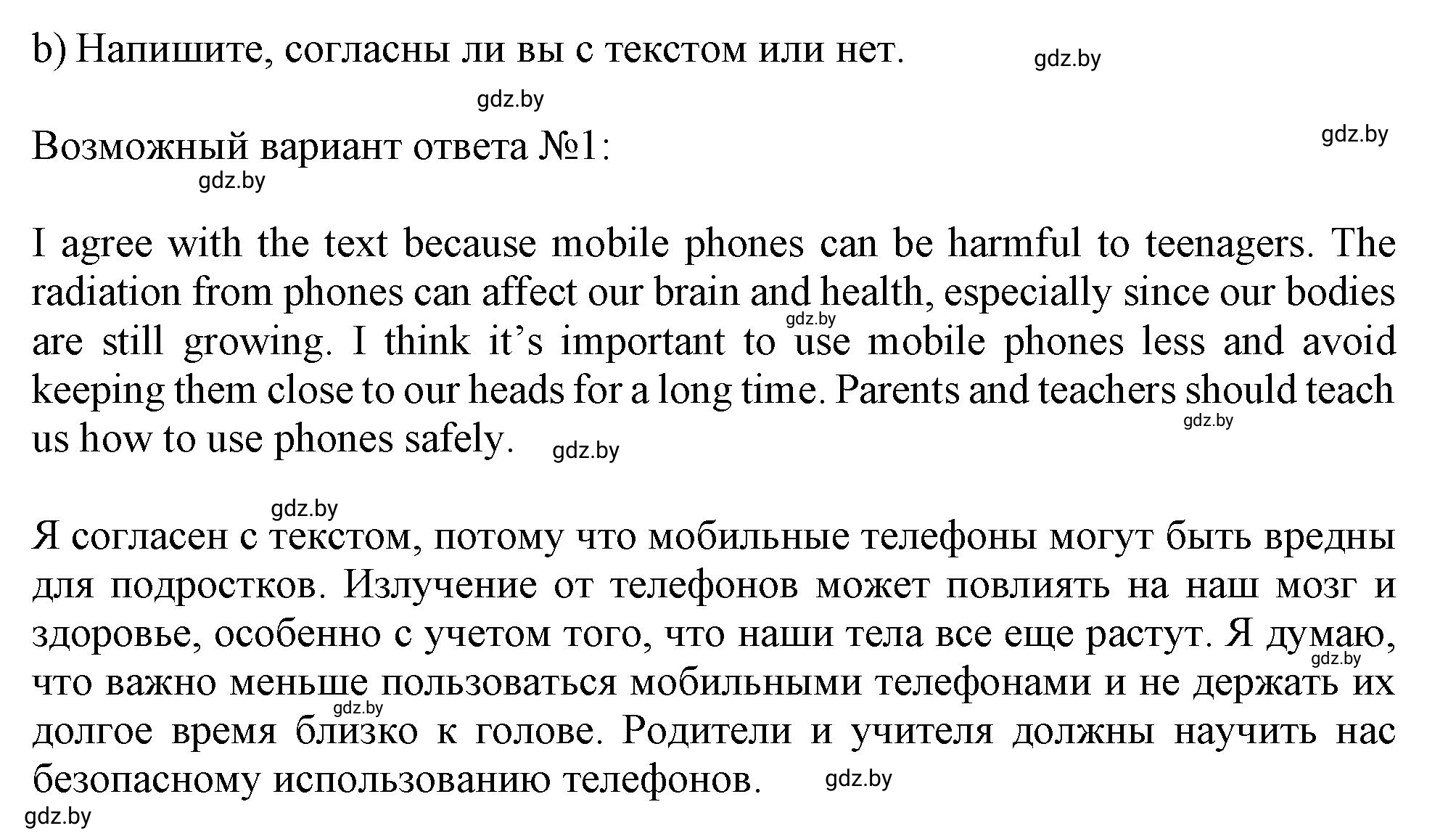 Решение 2. номер 2b (страница 93) гдз по английскому языку 9 класс Лапицкая, Демченко, рабочая тетрадь 2 часть