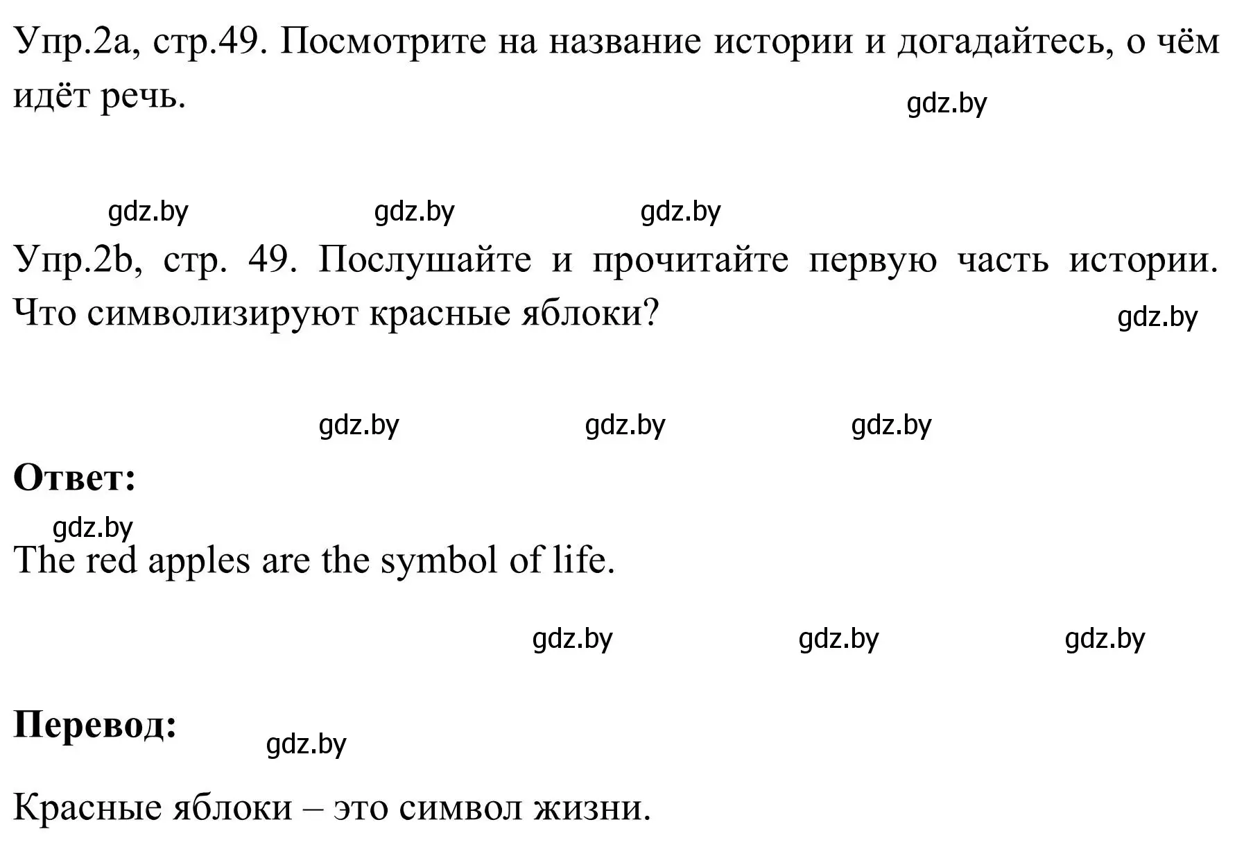 Решение номер 2 (страница 49) гдз по английскому языку 9 класс Лапицкая, Демченко, учебник