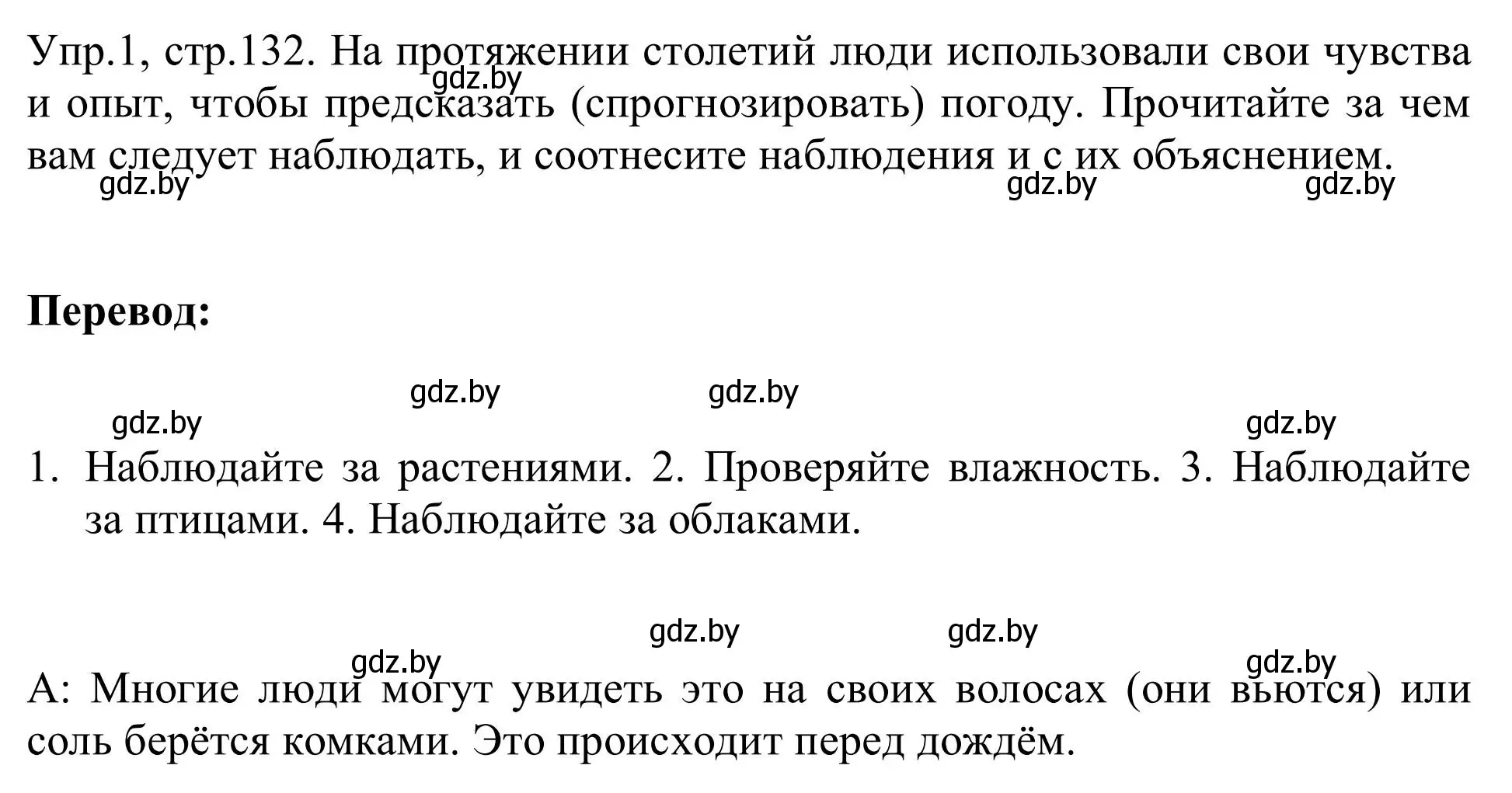 Решение номер 1 (страница 132) гдз по английскому языку 9 класс Лапицкая, Демченко, учебник