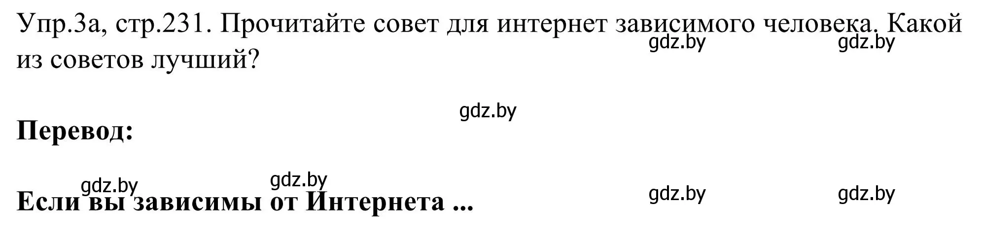 Решение номер 3 (страница 231) гдз по английскому языку 9 класс Лапицкая, Демченко, учебник