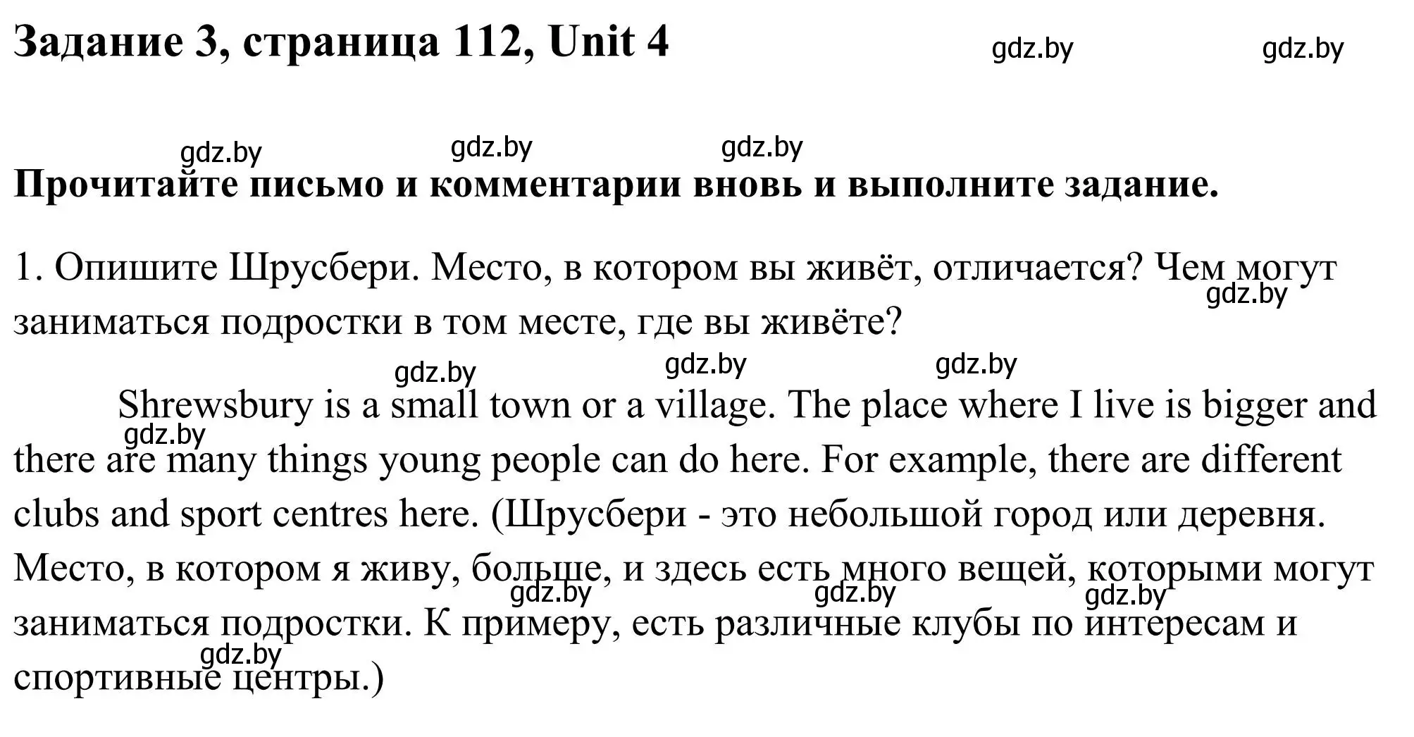 Решение номер 3 (страница 112) гдз по английскому языку 10 класс Юхнель, Наумова, учебник