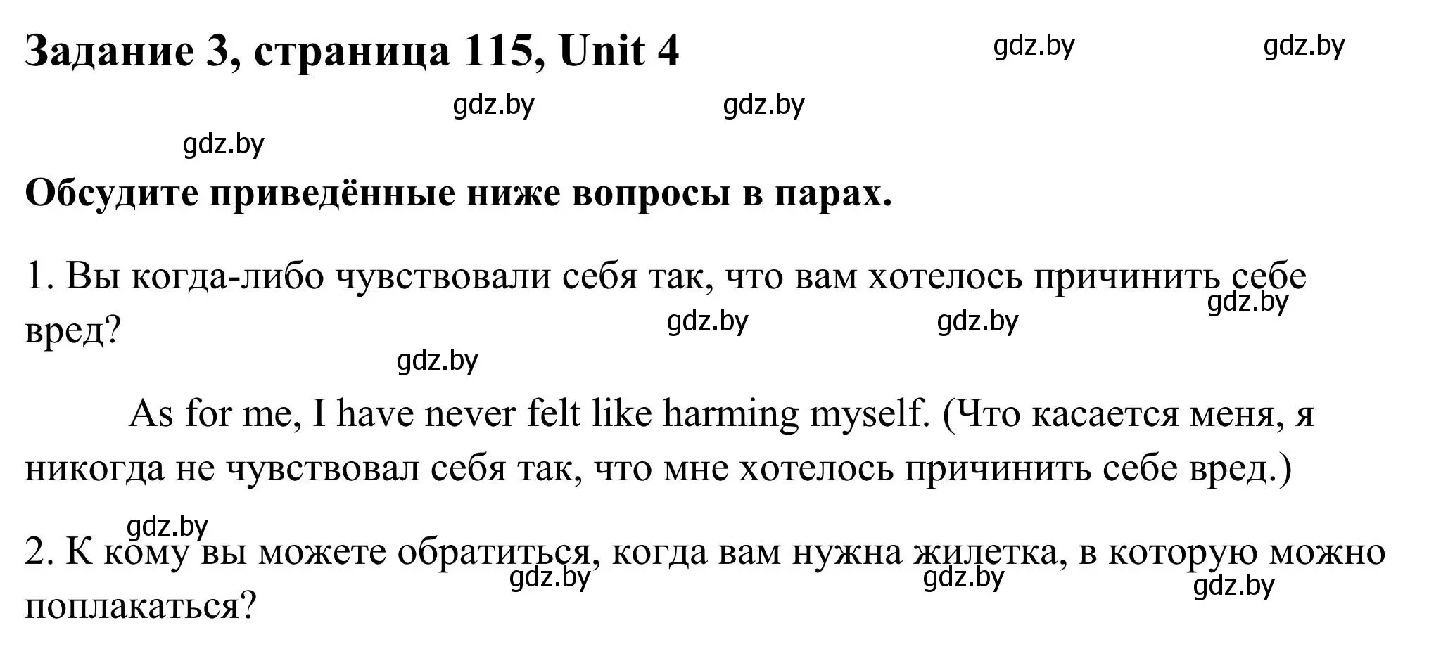 Решение номер 3 (страница 115) гдз по английскому языку 10 класс Юхнель, Наумова, учебник