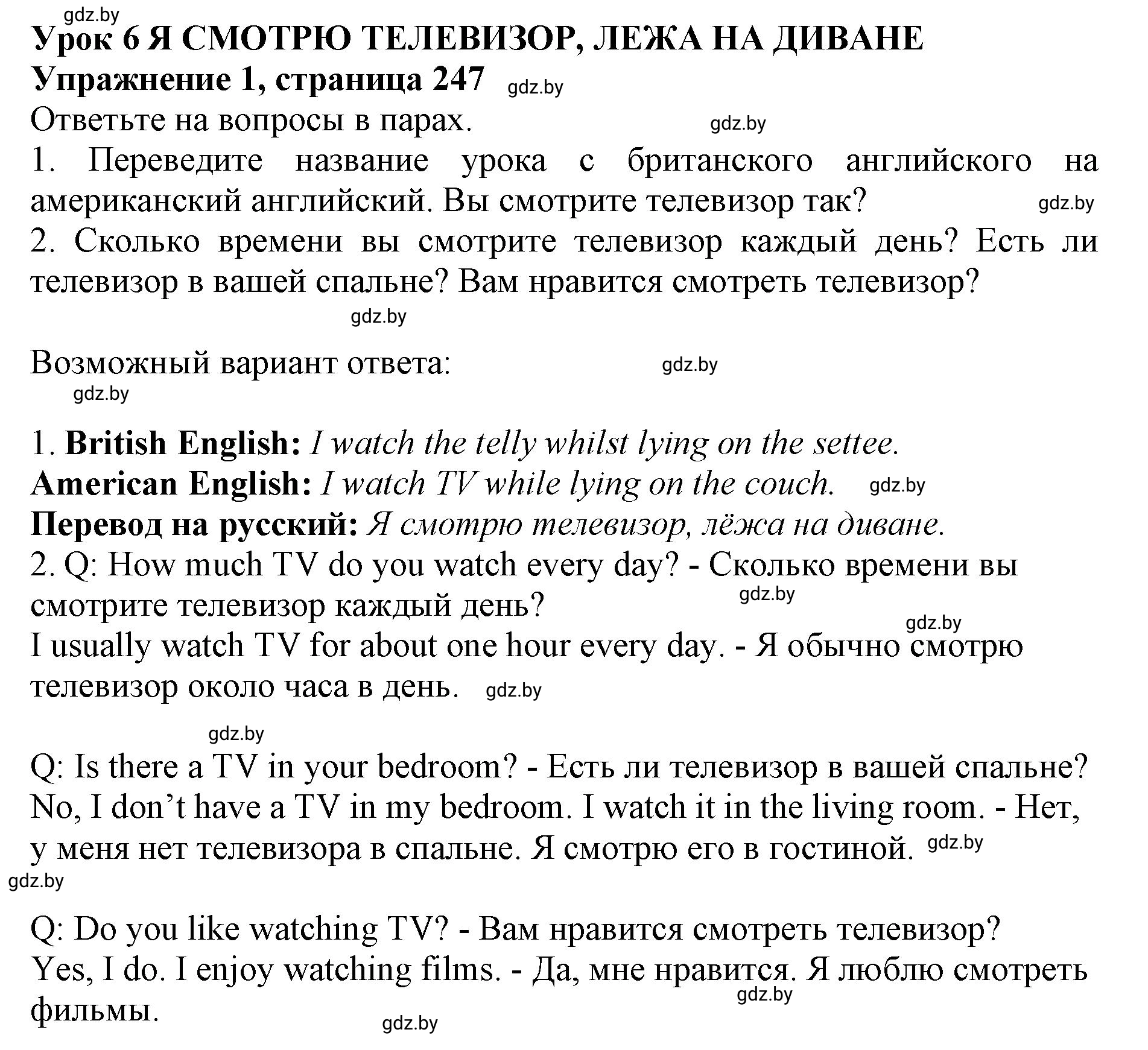 Решение 2. номер 1 (страница 247) гдз по английскому языку 10 класс Юхнель, Наумова, учебник
