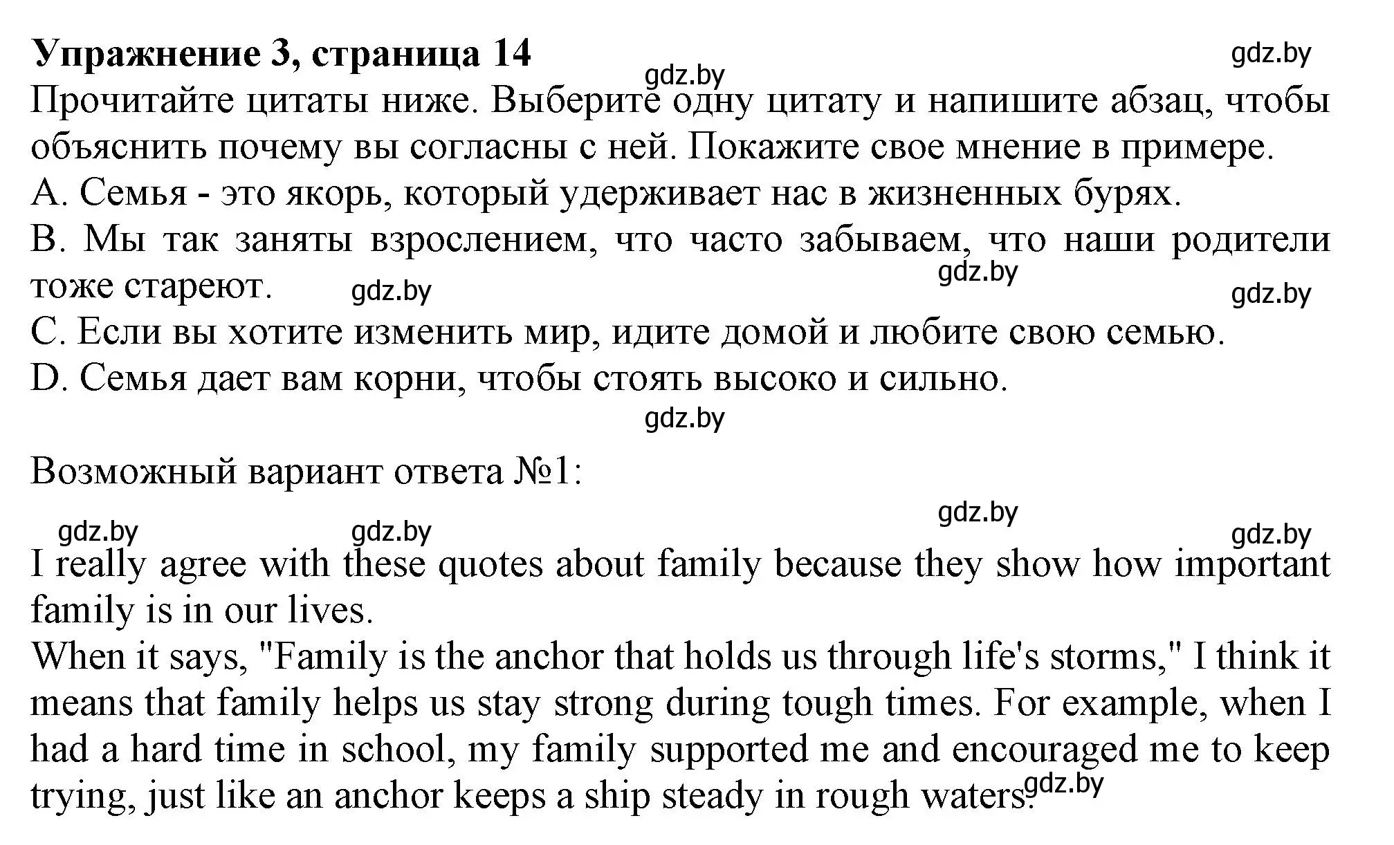 Решение номер 3 (страница 14) гдз по английскому языку 11 класс Юхнель, Демченко, рабочая тетрадь 1 часть