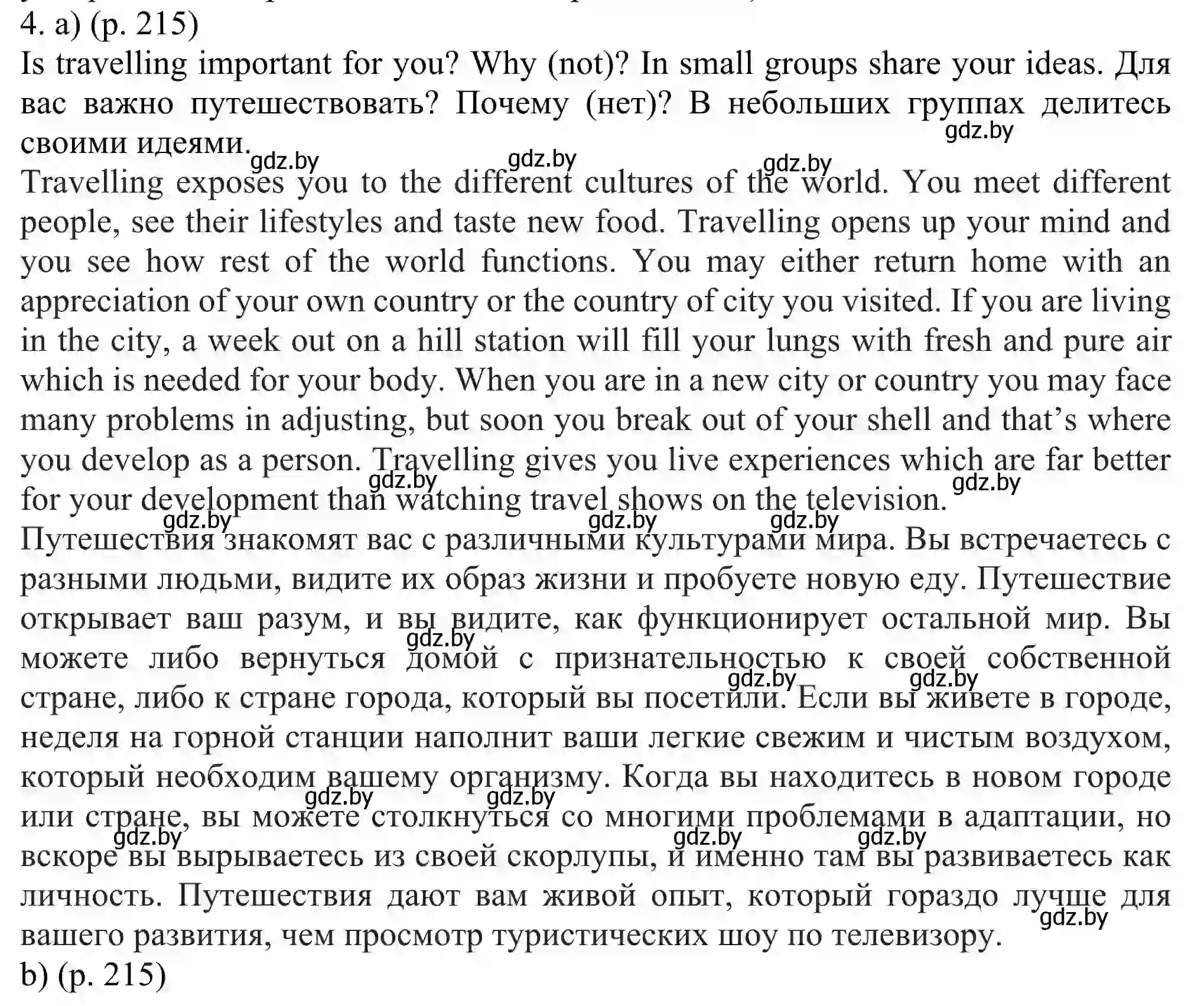 Решение номер 4 (страница 215) гдз по английскому языку 11 класс Юхнель, Демченко, учебник