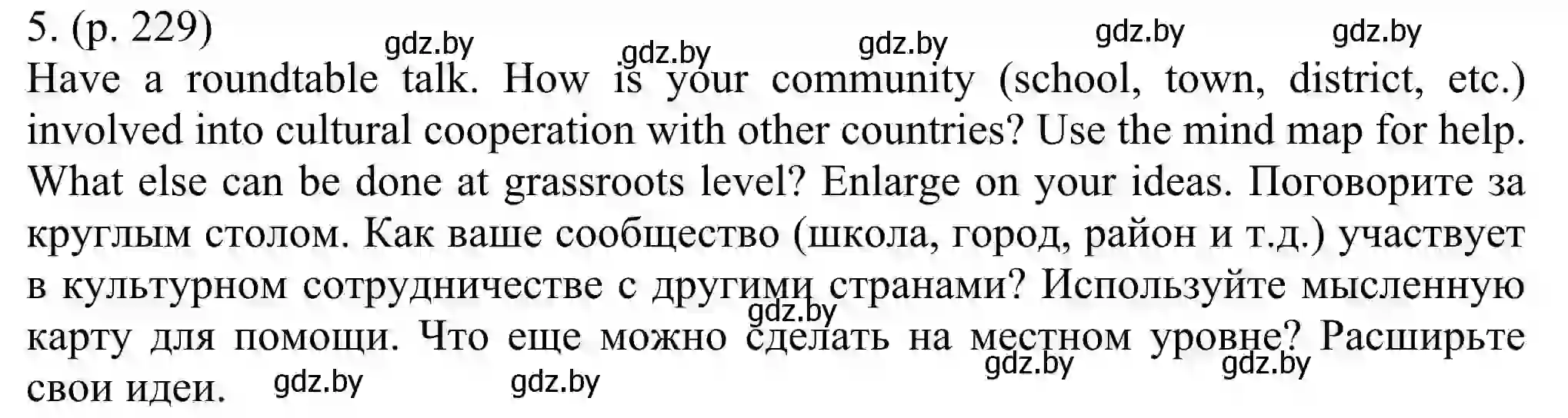 Решение номер 5 (страница 229) гдз по английскому языку 11 класс Юхнель, Демченко, учебник