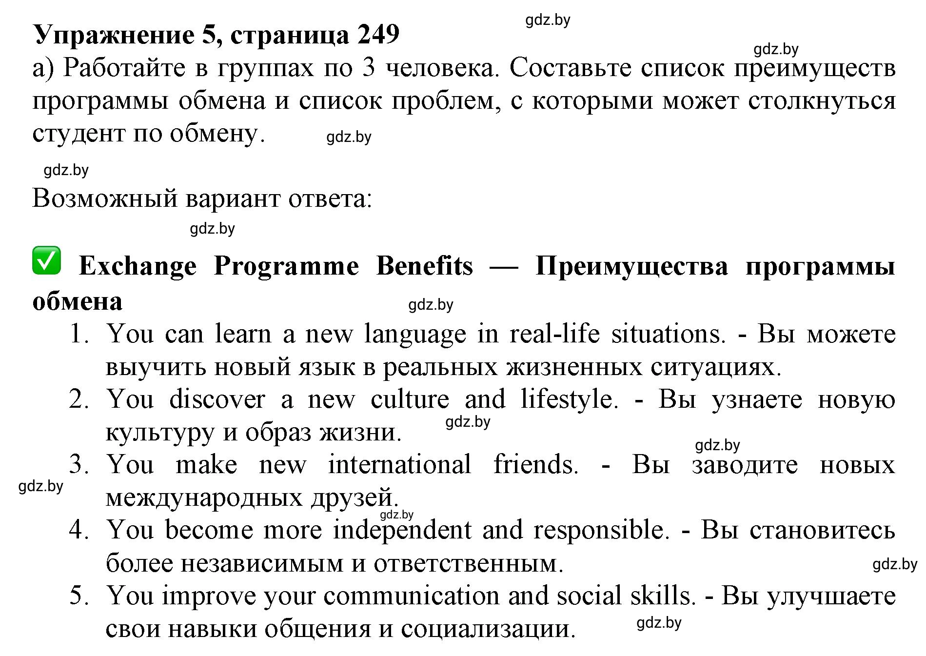 Решение 2. номер 5 (страница 249) гдз по английскому языку 11 класс Юхнель, Демченко, учебник