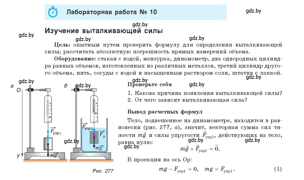 Лабораторная работа №10 страница 194 гдз по физике 9 класс Исаченкова,  Сокольский, учебник 2019