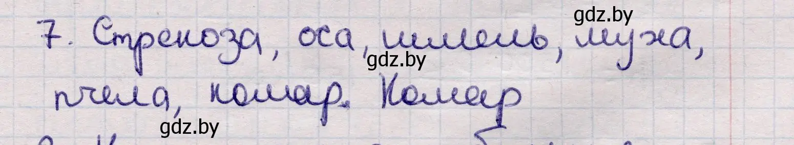 Решение номер 7 (страница 45) гдз по физике 11 класс Жилко, Маркович, учебник