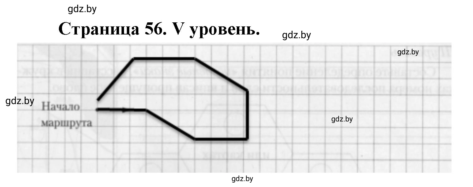 Решение  V уровень (страница 56) гдз по географии 6 класс Кольмакова, Пикулик, тетрадь для практических работ