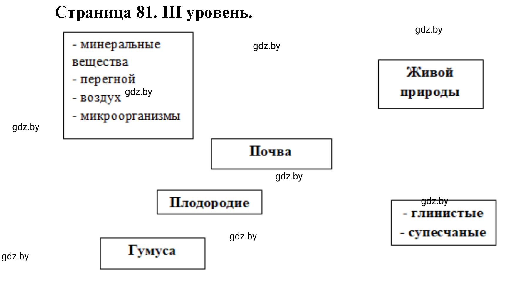 Решение  ІІІ уровень (страница 81) гдз по географии 6 класс Кольмакова, Пикулик, тетрадь для практических работ