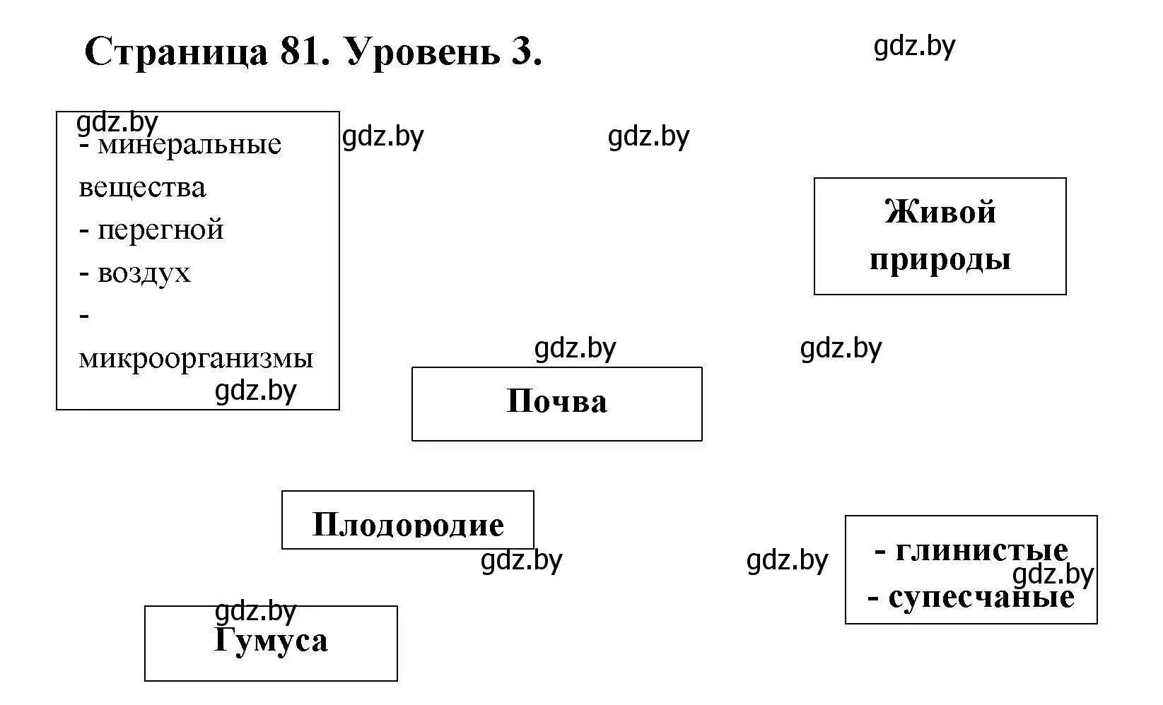 Решение номер 3 (страница 81) гдз по географии 6 класс Кольмакова, Пикулик, тетрадь для практических работ