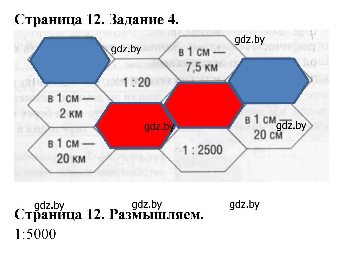 Решение номер 4 (страница 12) гдз по географии 6 класс Кольмакова, Пикулик, рабочая тетрадь