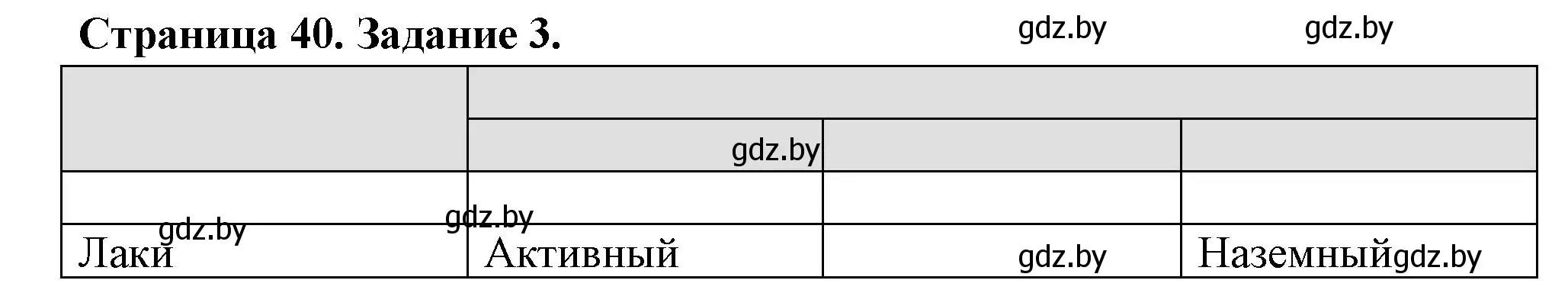 Решение номер 3 (страница 40) гдз по географии 6 класс Кольмакова, Пикулик, рабочая тетрадь