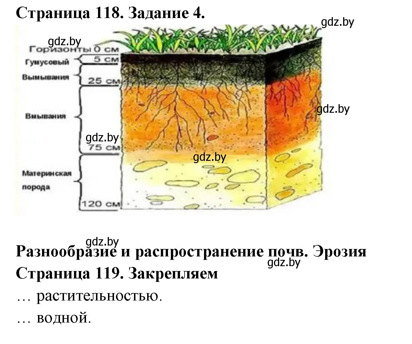 Решение номер 4 (страница 118) гдз по географии 6 класс Кольмакова, Пикулик, рабочая тетрадь