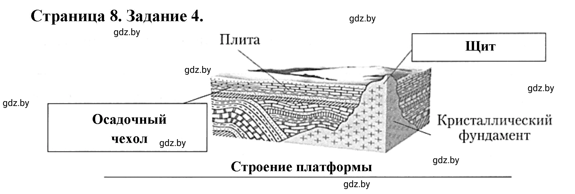 Решение номер 4 (страница 8) гдз по географии 7 класс Кольмакова, Сарычева, рабочая тетрадь