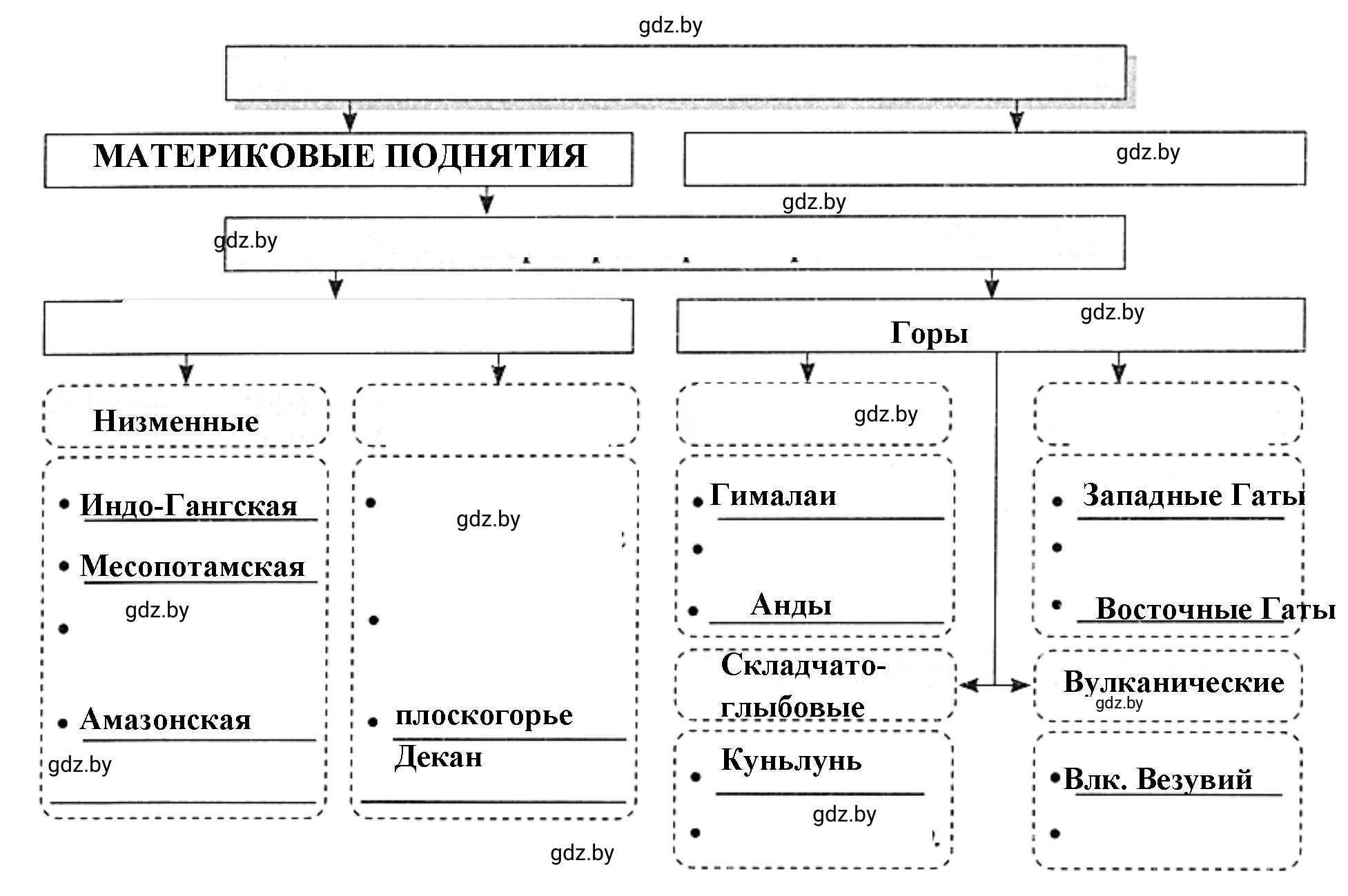 Решение номер 5 (страница 11) гдз по географии 7 класс Кольмакова, Сарычева, рабочая тетрадь