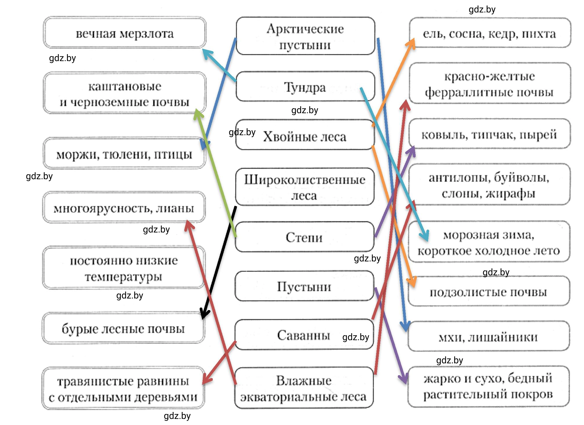 Решение номер 2 (страница 20) гдз по географии 7 класс Кольмакова, Сарычева, рабочая тетрадь