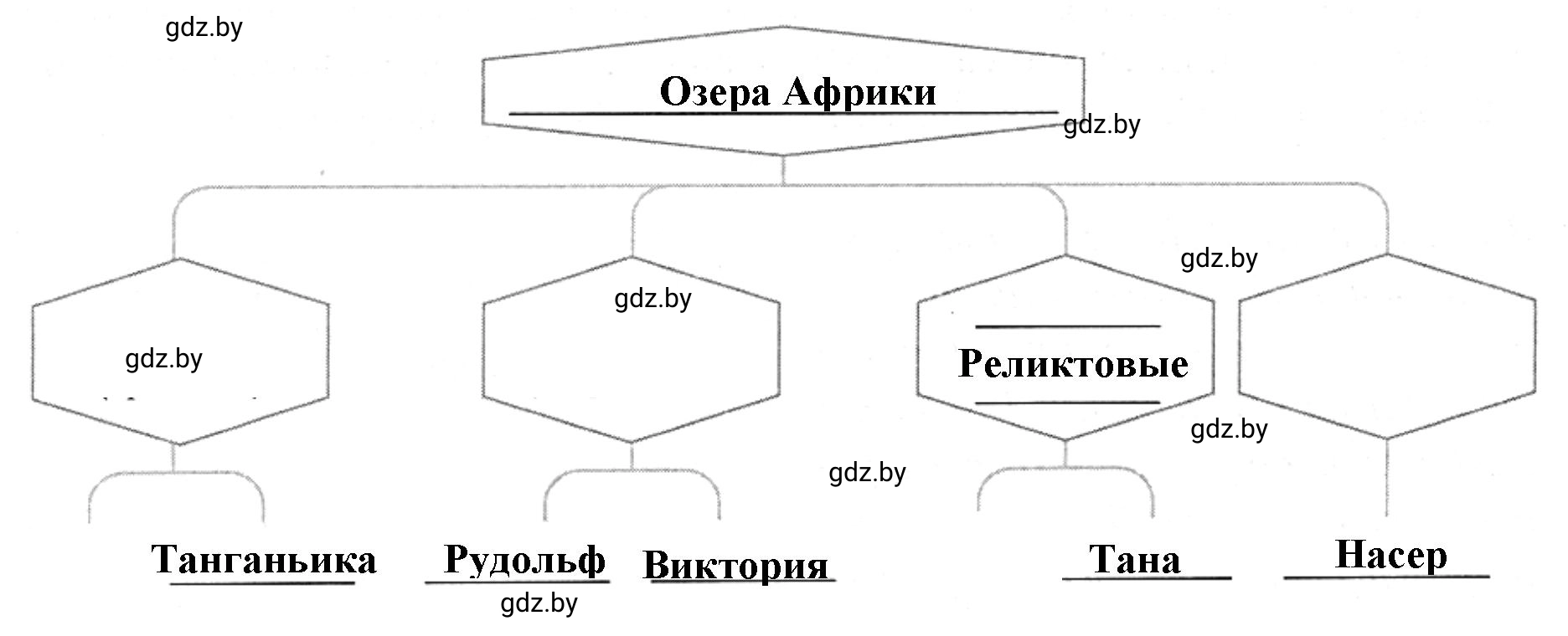 Решение номер 3 (страница 39) гдз по географии 7 класс Кольмакова, Сарычева, рабочая тетрадь