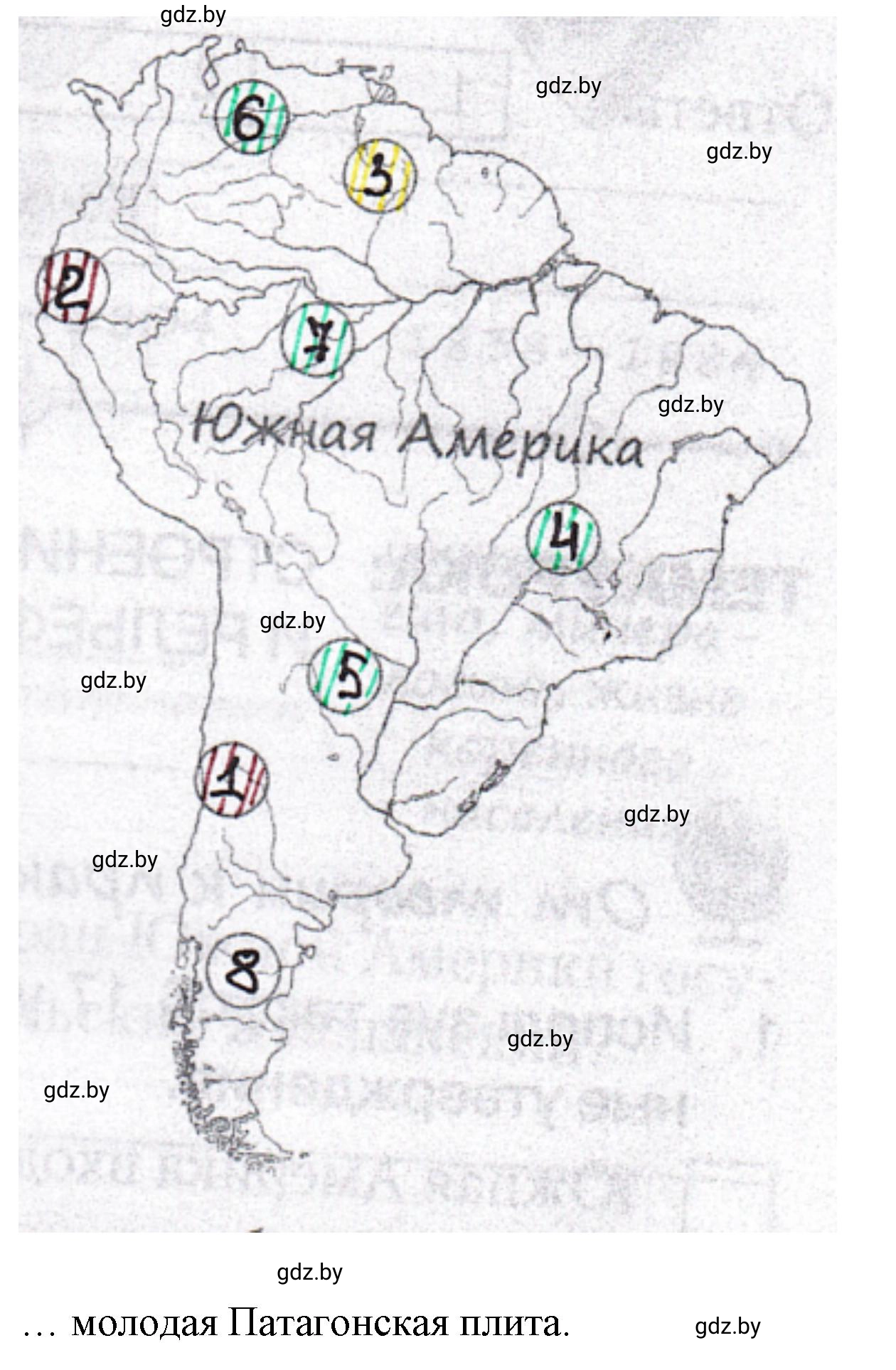 Решение номер 3 (страница 58) гдз по географии 7 класс Кольмакова, Сарычева, рабочая тетрадь