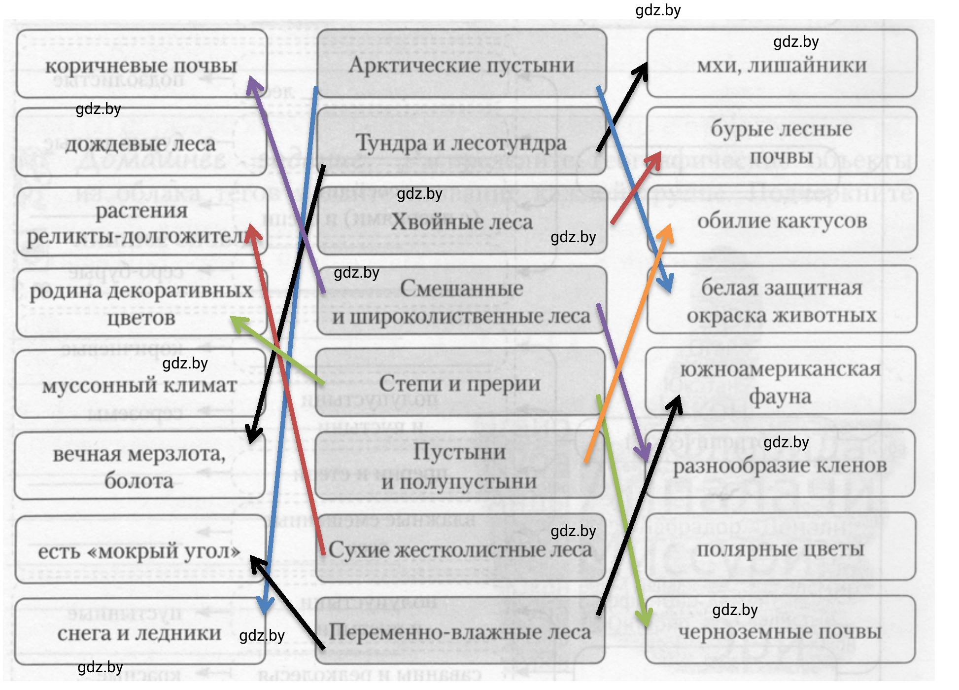 Решение номер 3 (страница 84) гдз по географии 7 класс Кольмакова, Сарычева, рабочая тетрадь