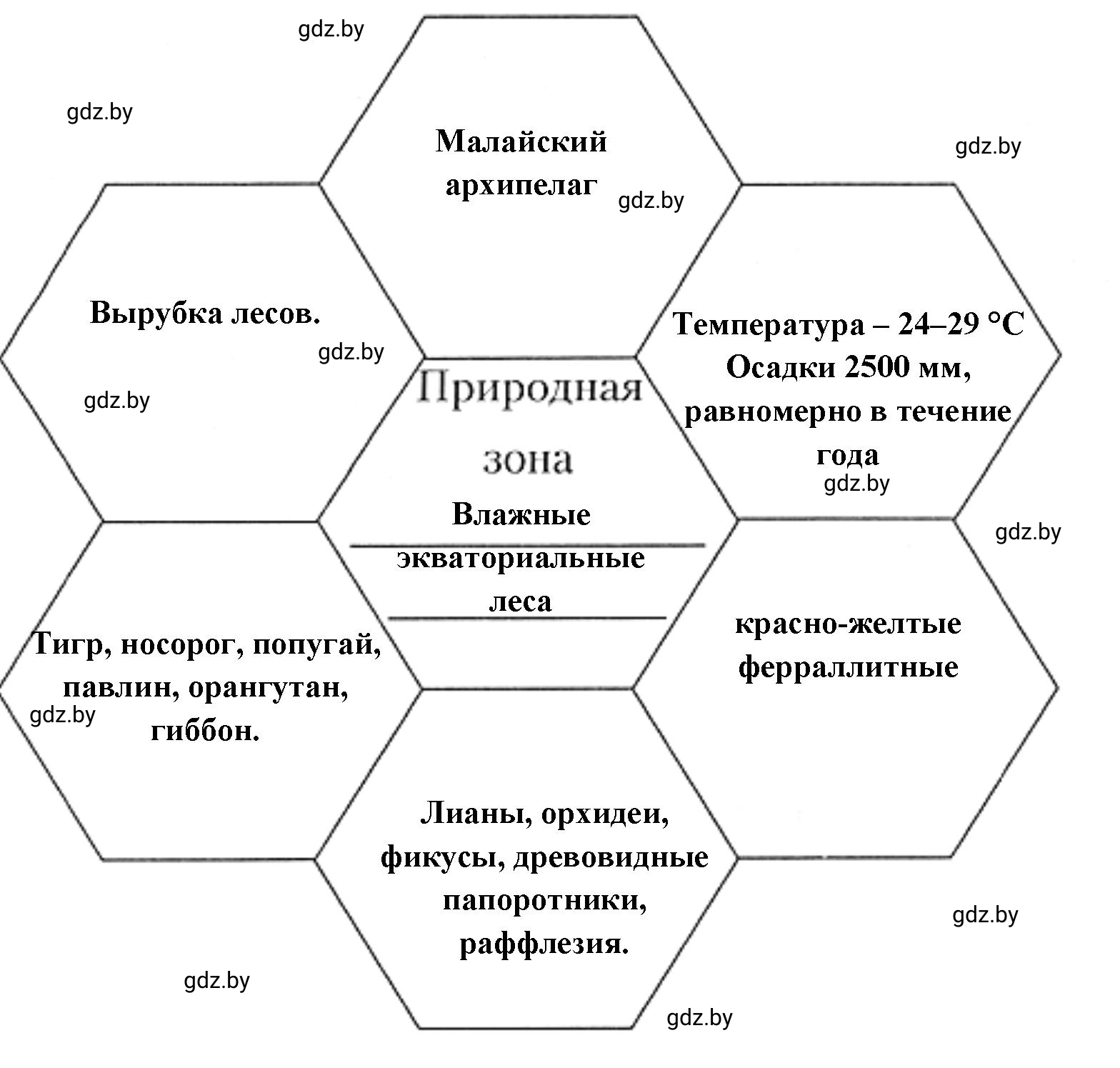 Решение номер 2 (страница 101) гдз по географии 7 класс Кольмакова, Сарычева, рабочая тетрадь