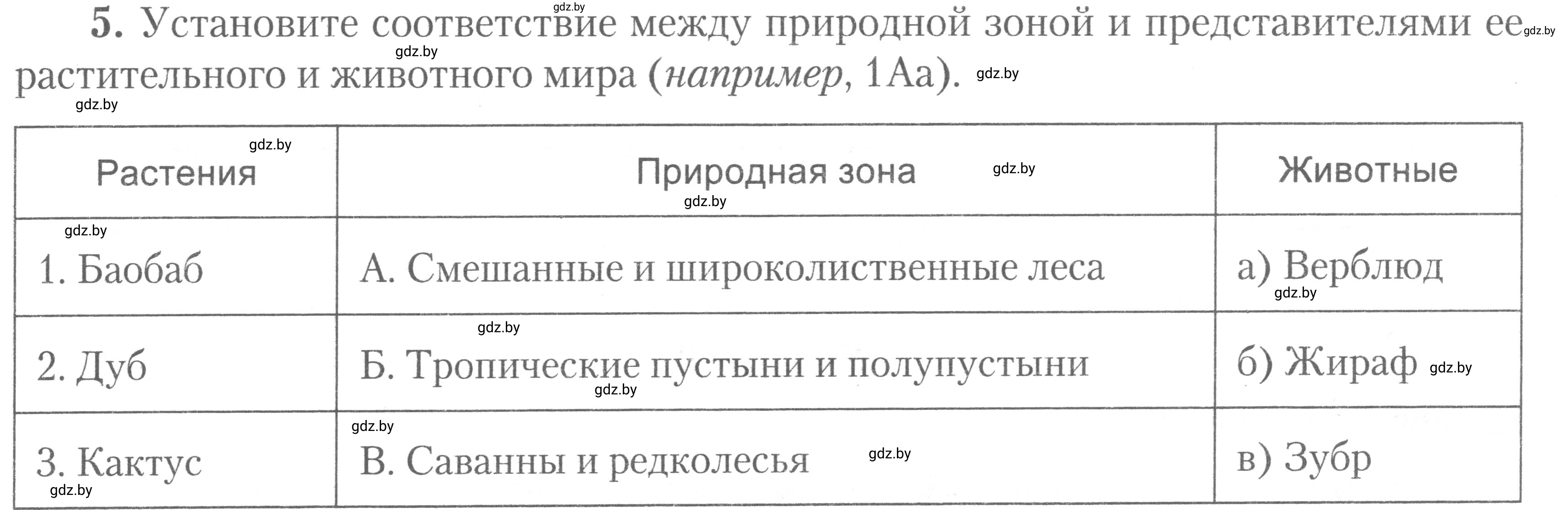 Условие номер 5 (страница 24) гдз по географии 7 класс Метельский, тетрадь для практических работ