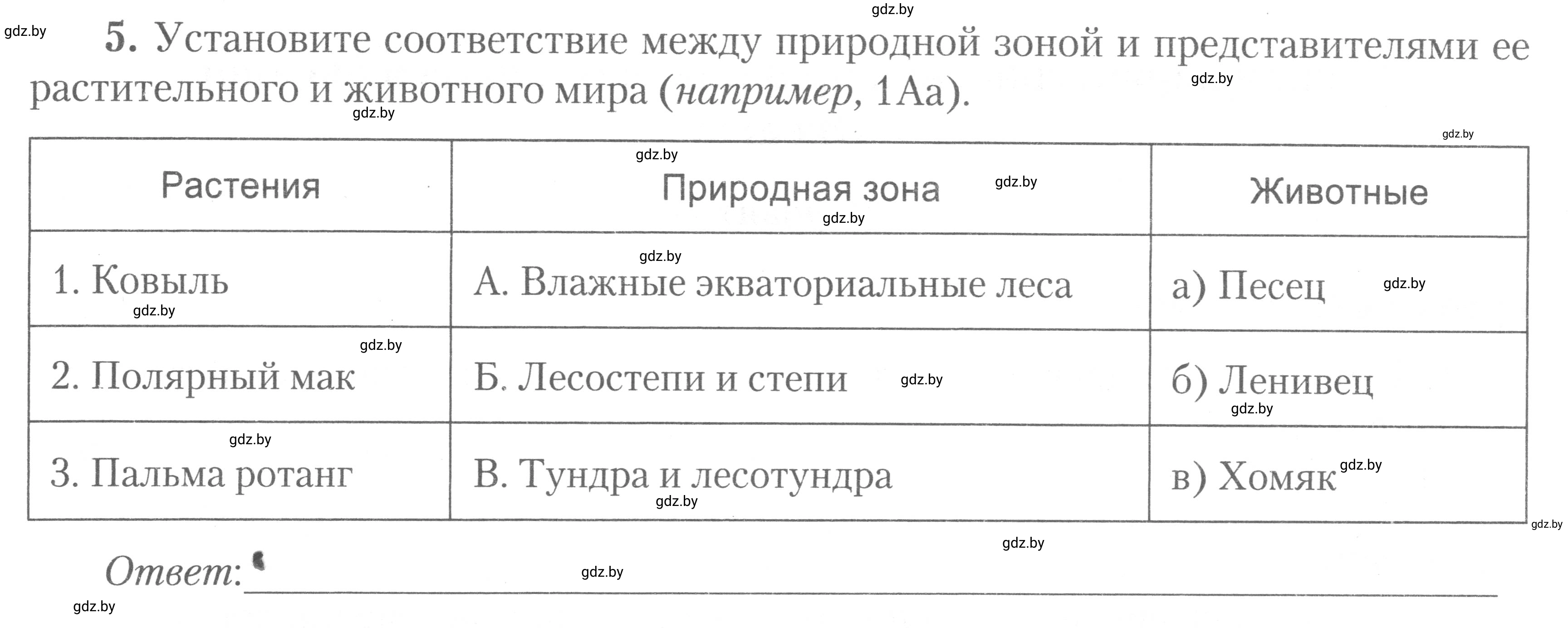 Условие номер 5 (страница 22) гдз по географии 7 класс Метельский, тетрадь для практических работ