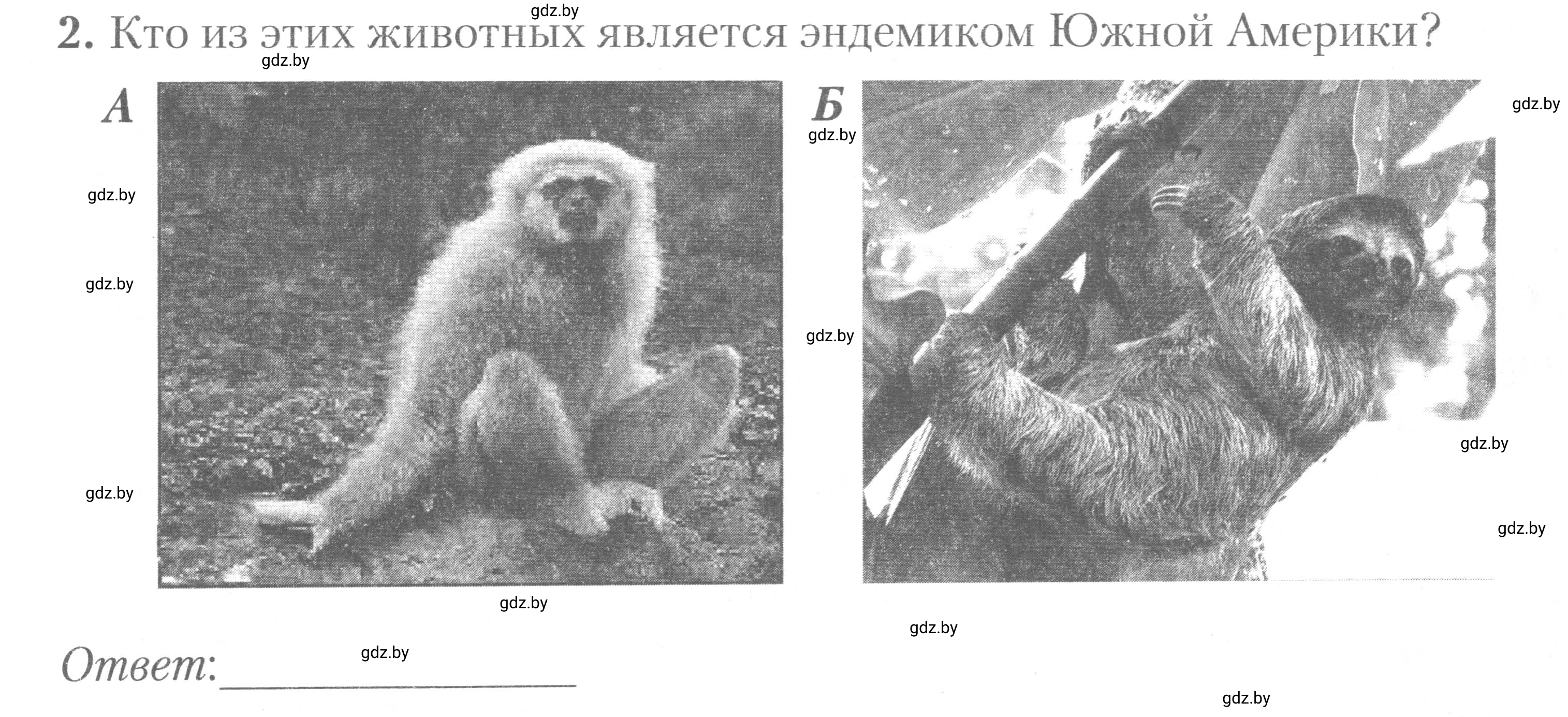 Условие номер 2 (страница 28) гдз по географии 7 класс Метельский, тетрадь для практических работ