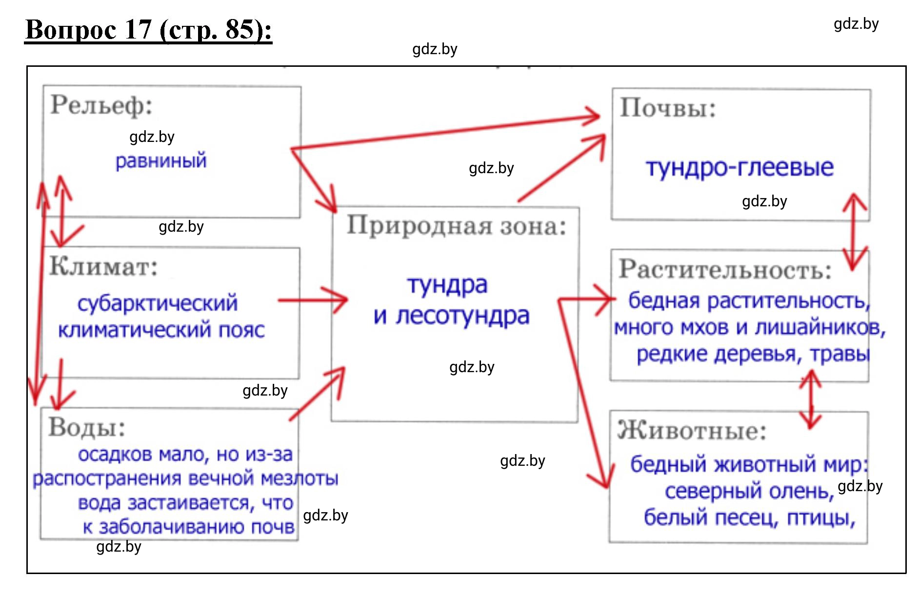 Решение номер 17* (страница 85) гдз по географии 7 класс Витченко, Станкевич, тетрадь для практических работ