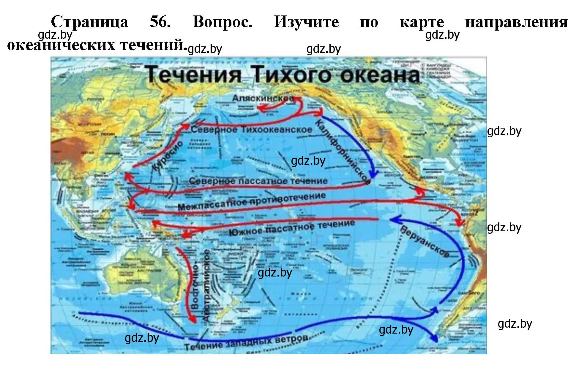 Океанов протекает северо пассатное течение. Северное пассатное течение на карте. Карта течений Тихого океана.